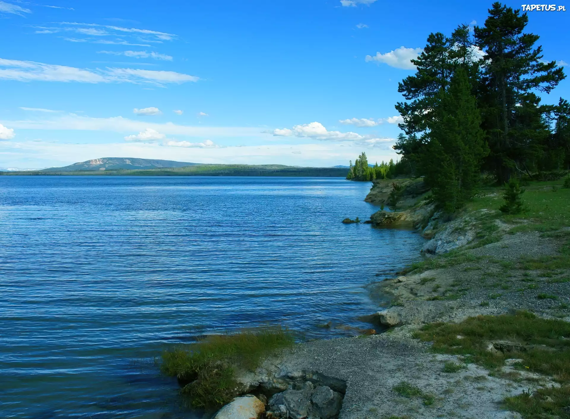 Piękne, Jezioro, Świerki, Niebo
