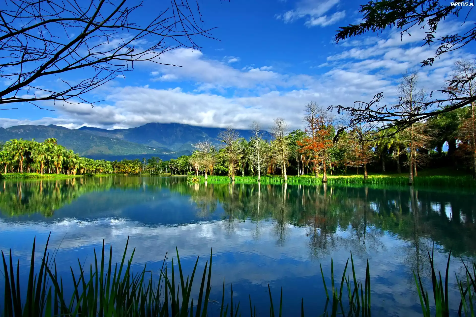 Jezioro, Lasy, Góry, Niebo