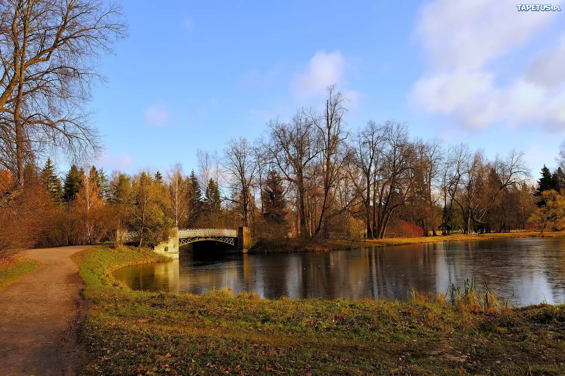 Park, Rzeka, Most, Jesień