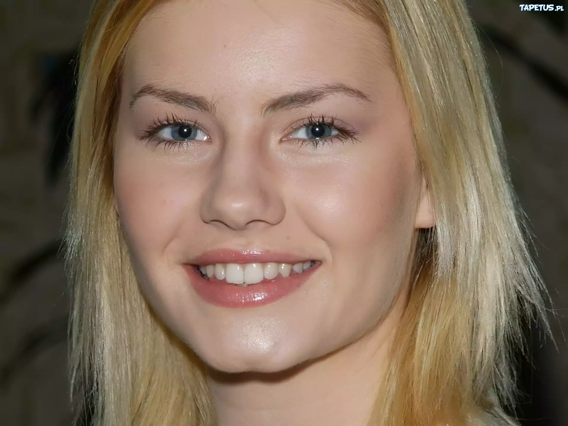 Elisha Cuthbert