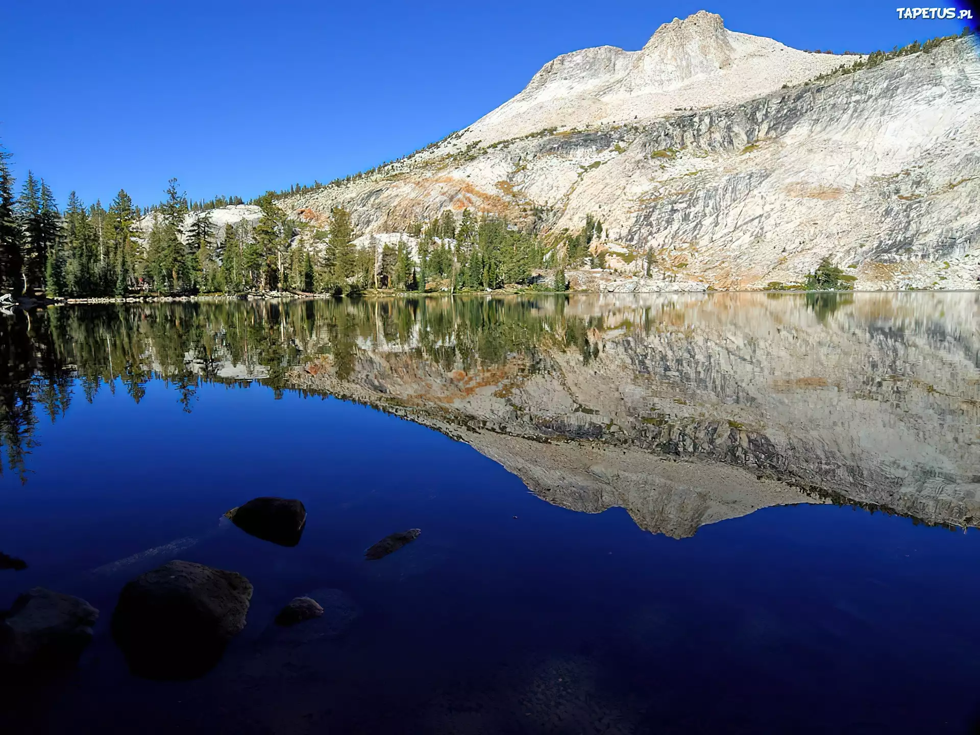 Jezioro, Góry, Drzewa, Yosemite, Kalifornia