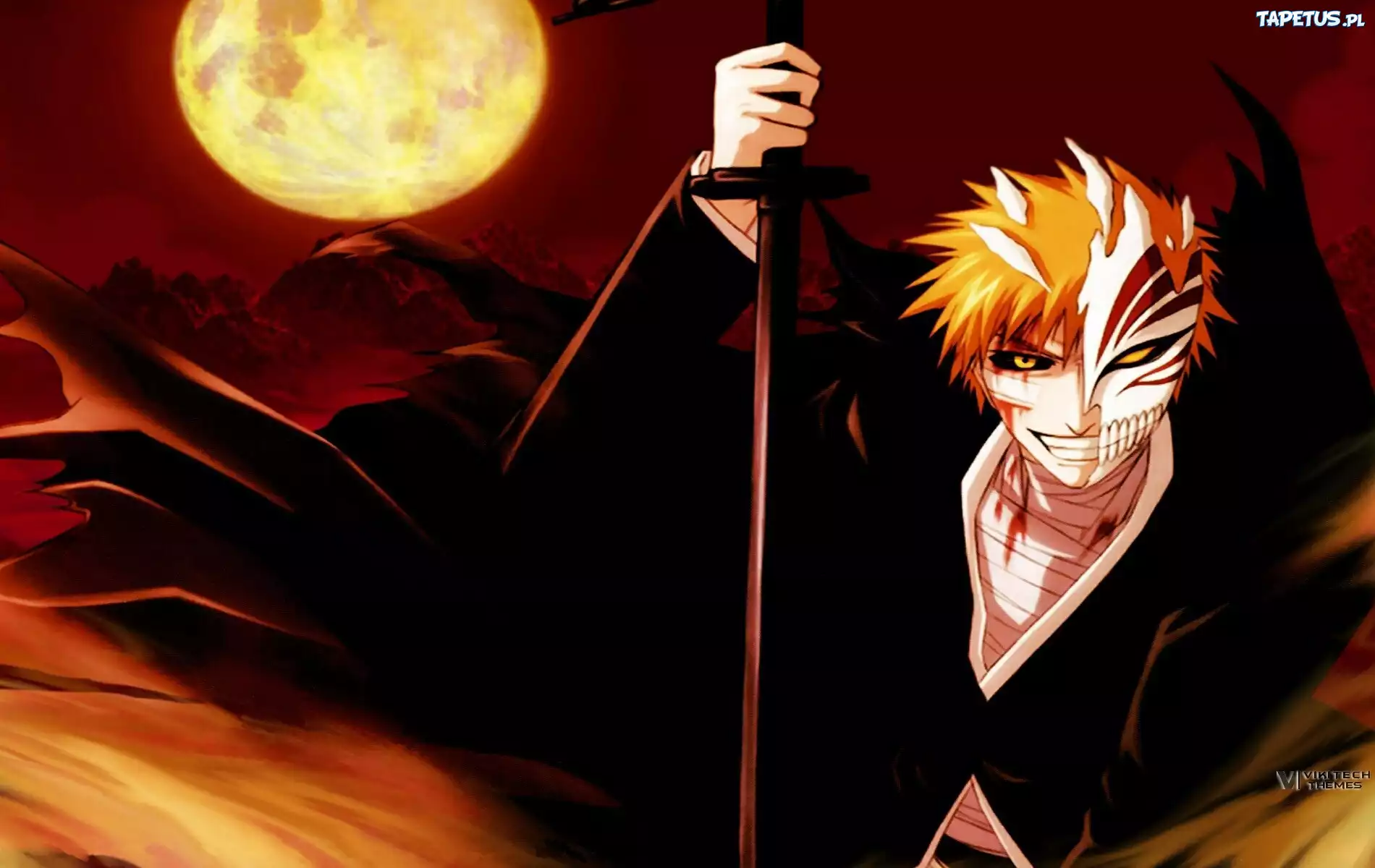 Kurosaki Ichigo, Hollow