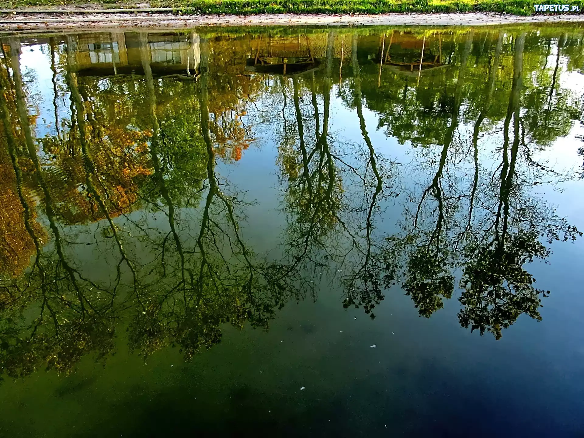 Jezioro, Drzewa, Jesień, Odbicie