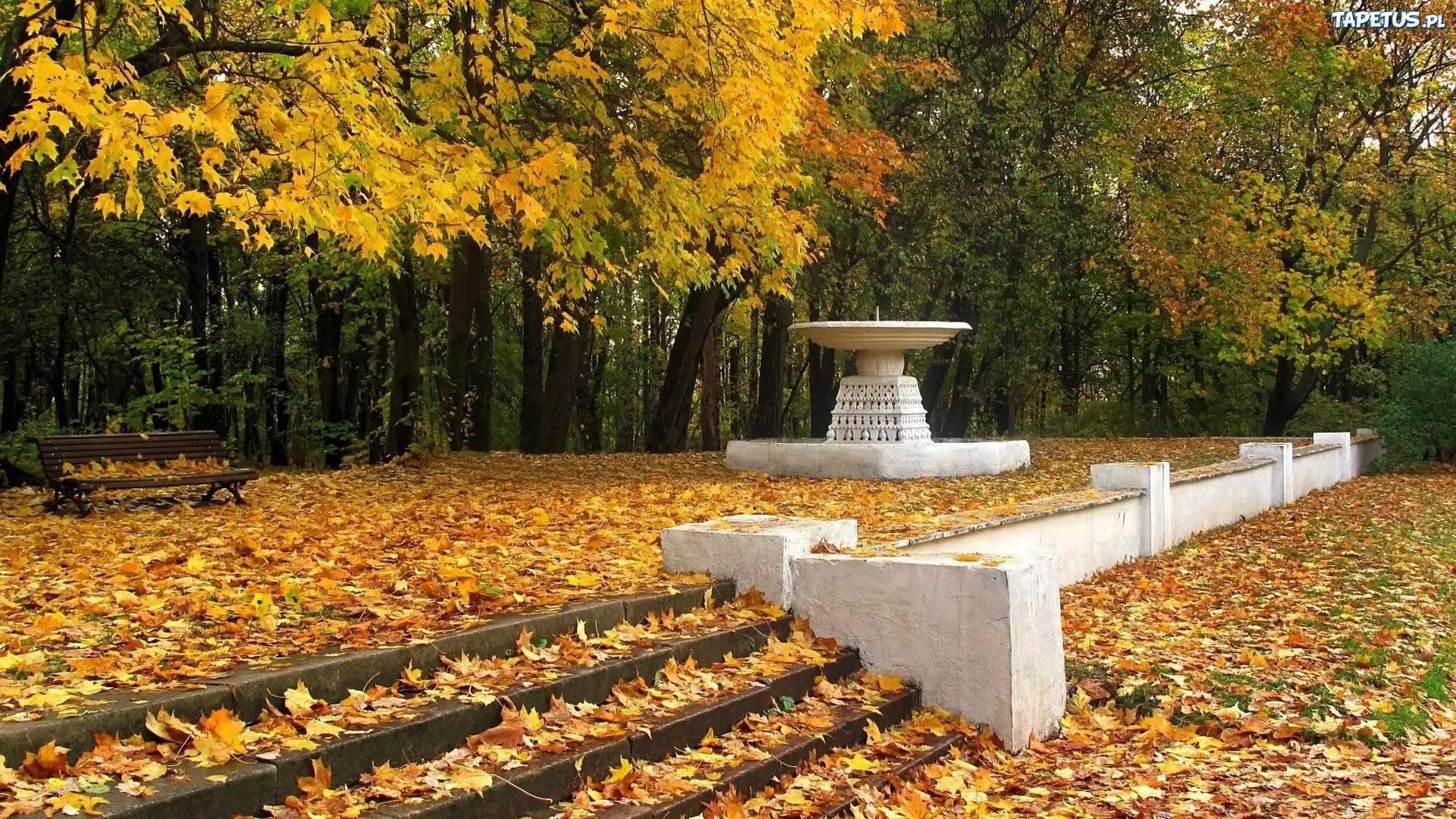 Park, Jesień, Ławka, Liście