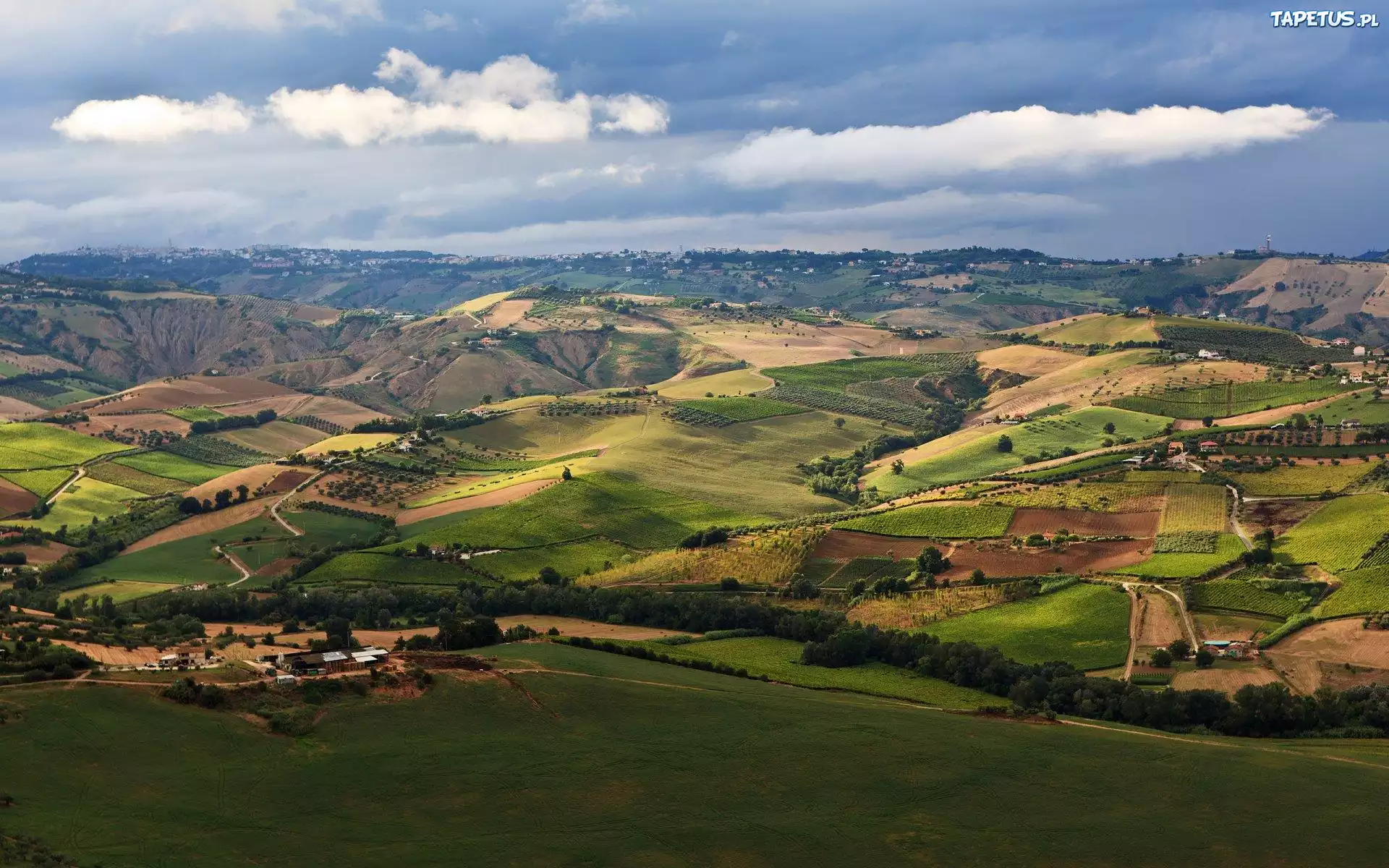 Pola, Uprawne, Wyżyny