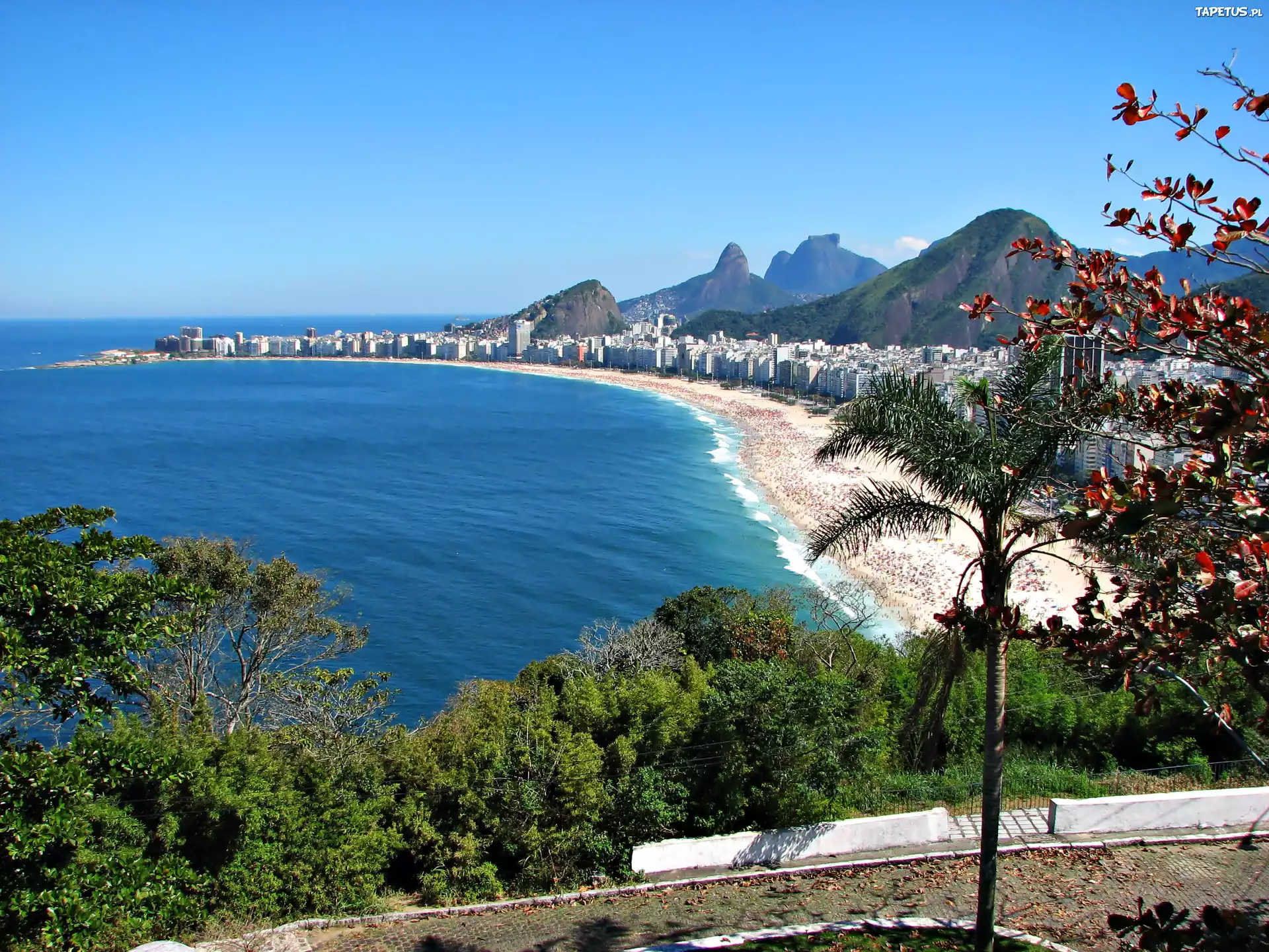 Plaża, Morze, Drzewa, Rio De Janeiro