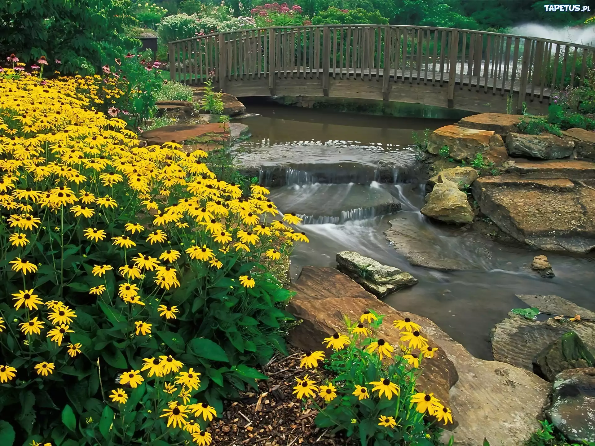 Kwiaty, Ohio, Kirtland, Holden, Arboretum