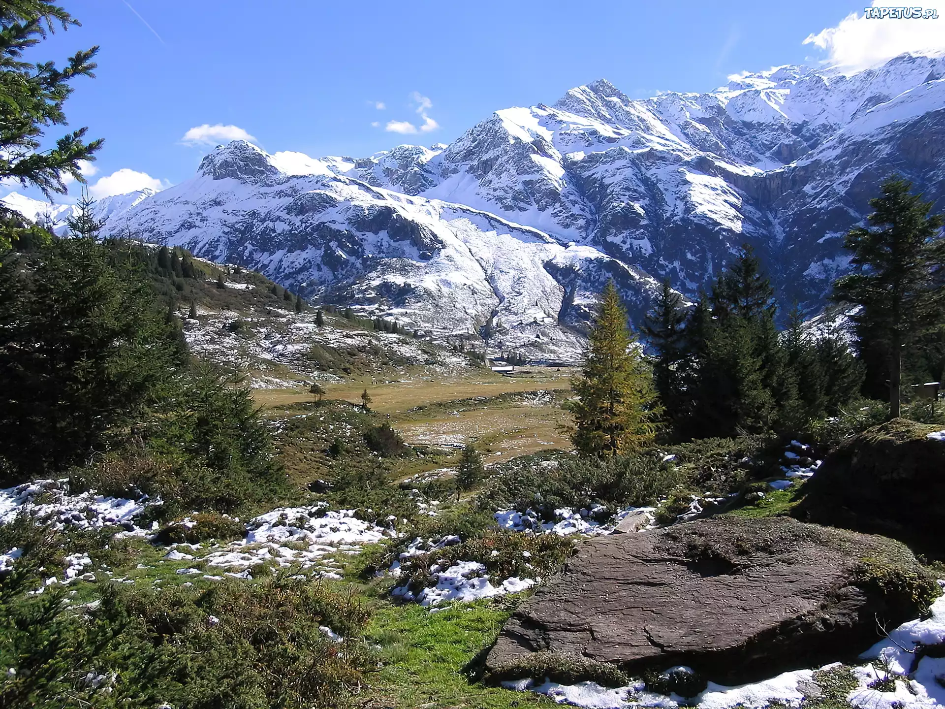 Ośnieżone, Góry, Dolina, Drzewa, Austria