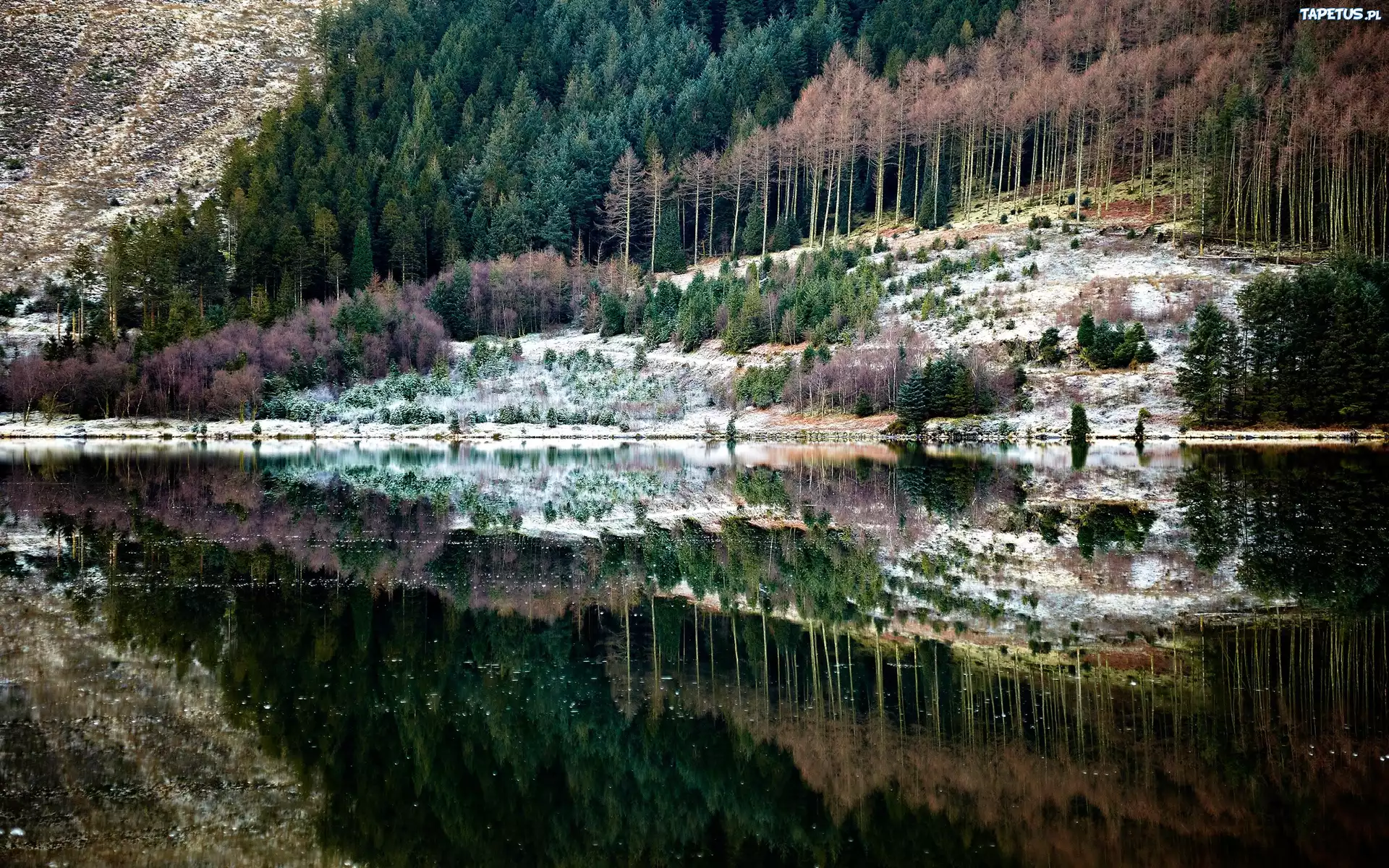 Góry, Lasy, Woda, Odbicie