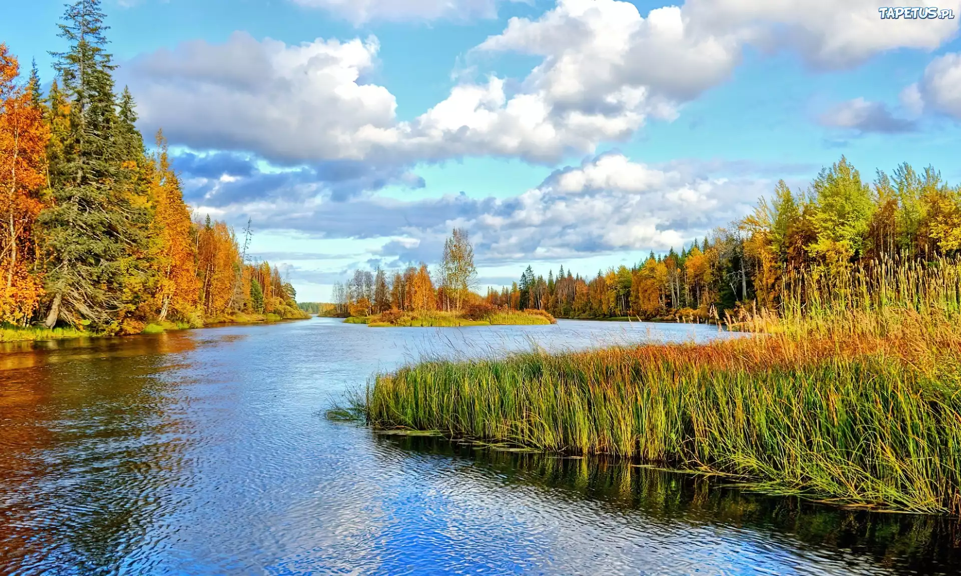 Kręta, Rzeka, Las, Chmury
