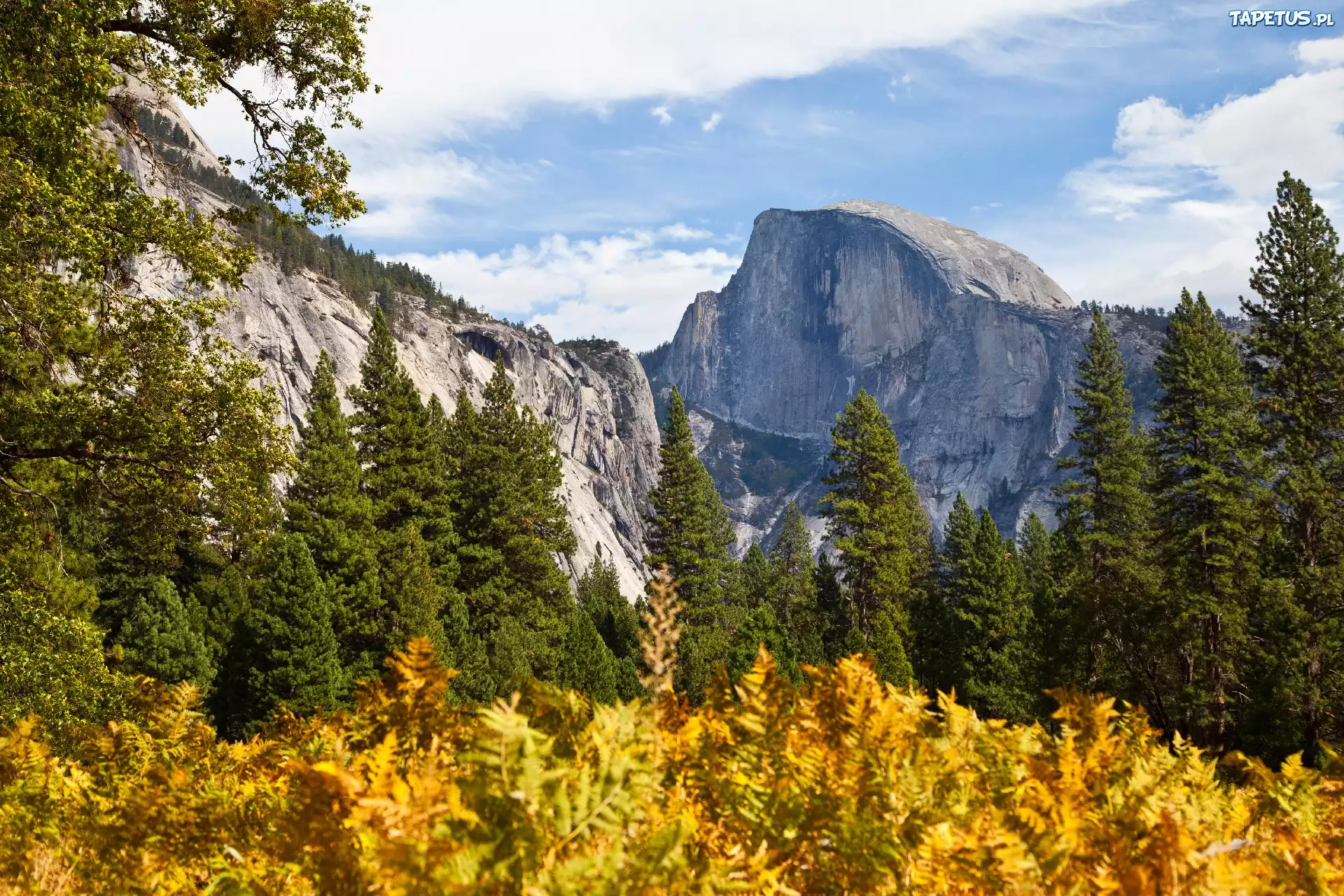 Jesień, Góry, Drzewa, Yosemite, Kalifornia
