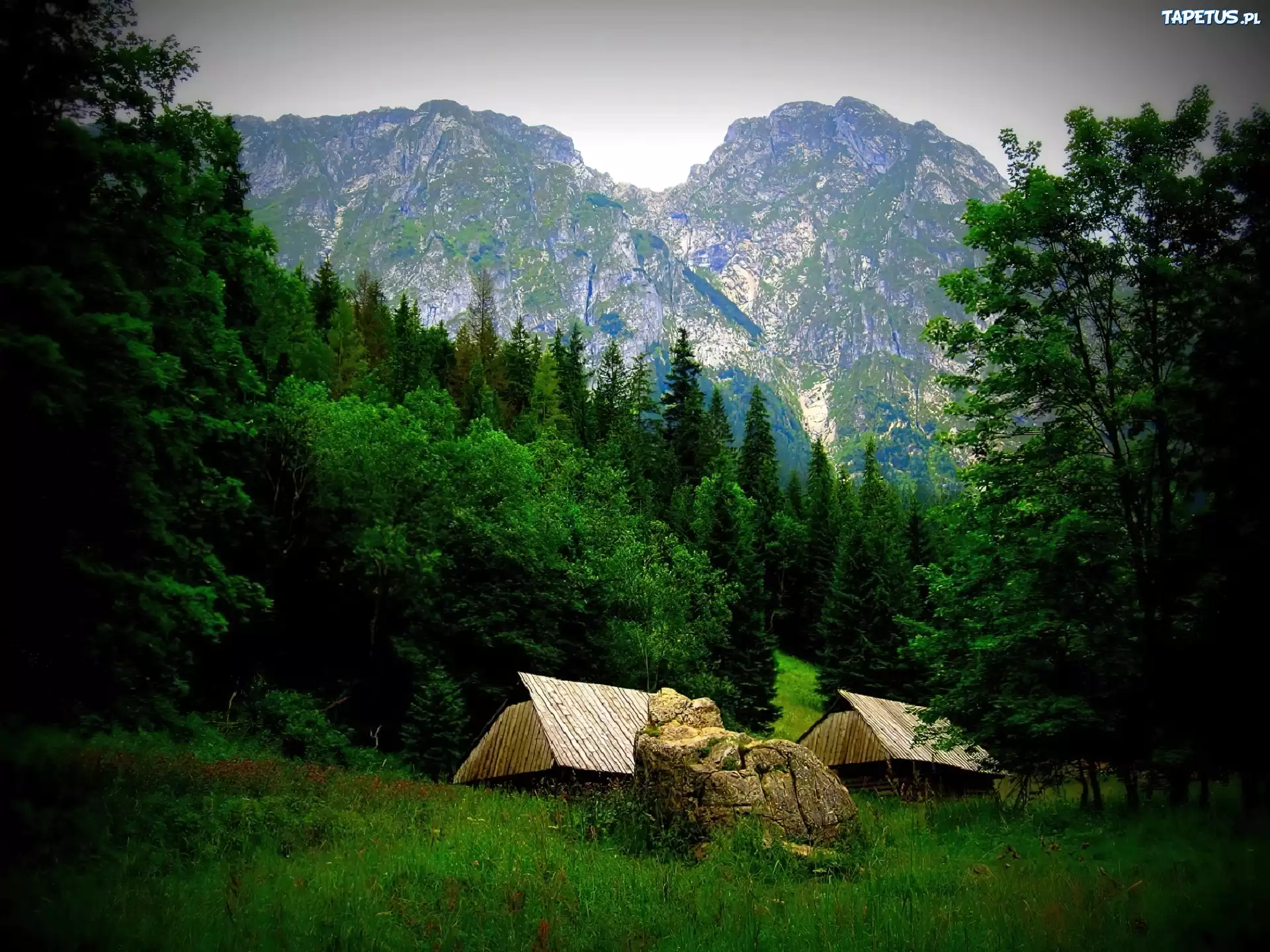 Krajobraz, Góry, Tatry, Dolina, Strążyska, Szałasy, Las