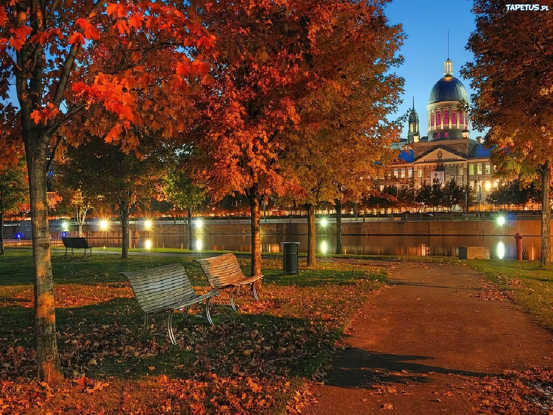 Park, Jesienne, Drzewa, Rzeka