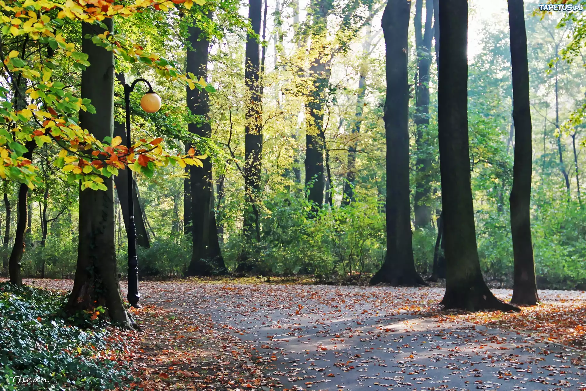 Jesienny, Park