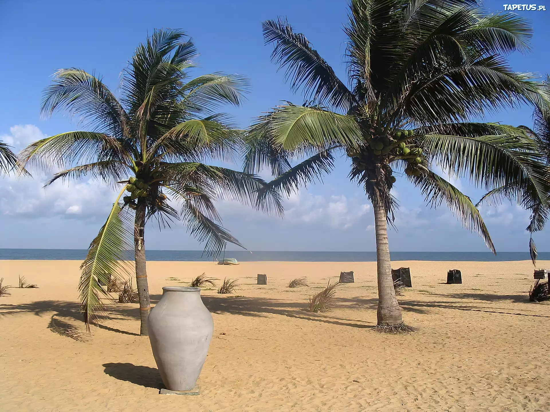Plaża, Palmy, Wazon