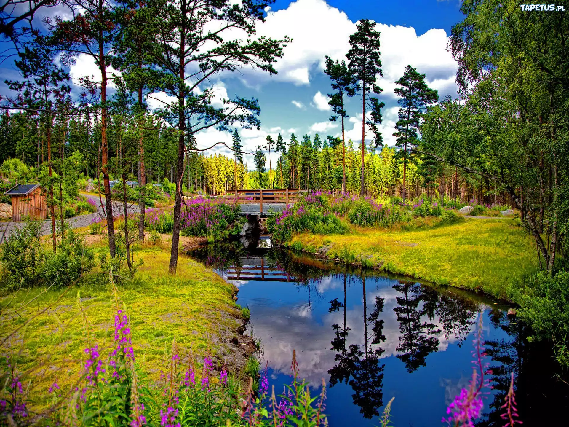 Park, Mostek, Rzeczka