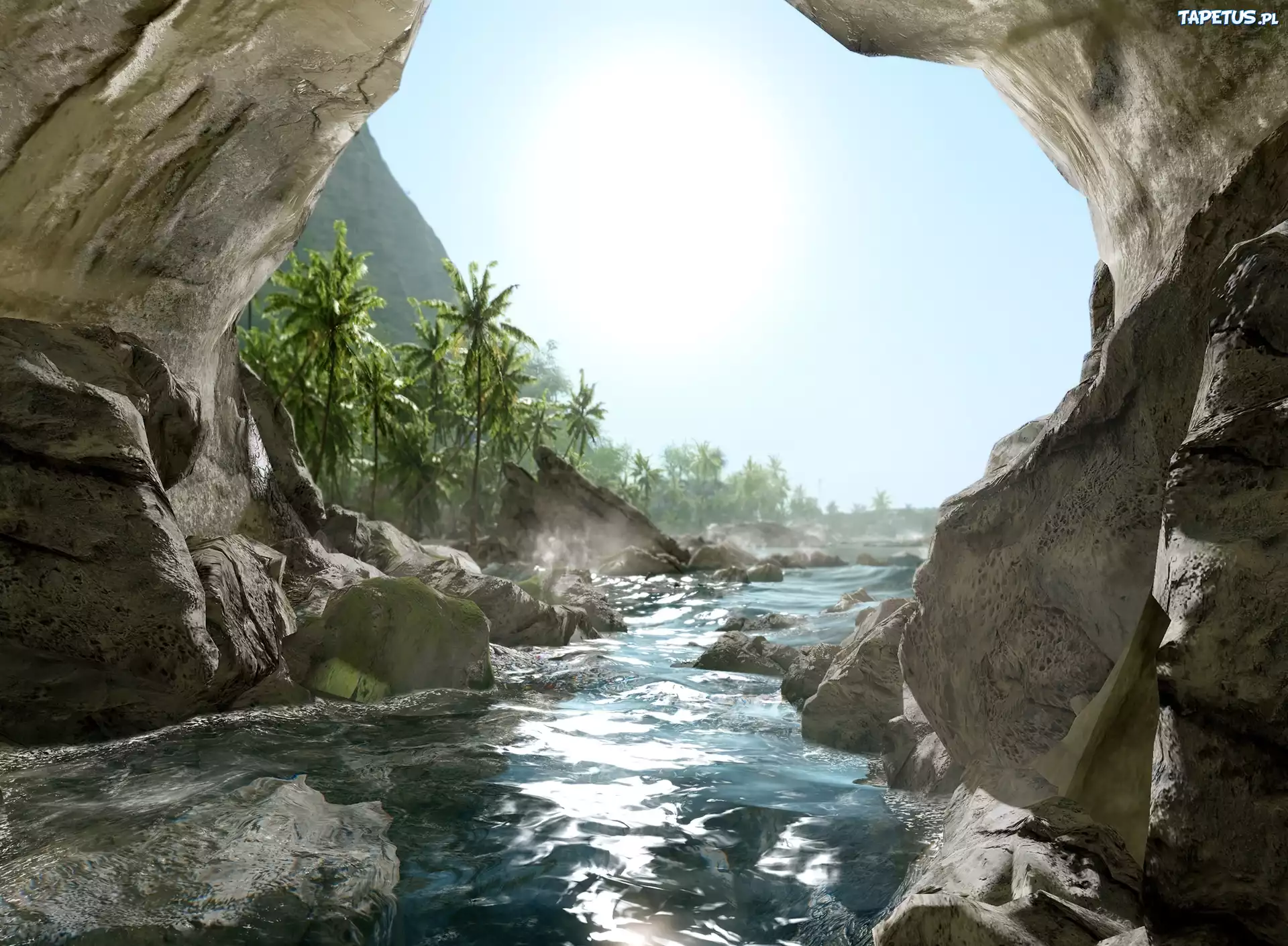 Реалми видео обои. Crysis пещера. Crysis 3 пещера. Crysis природа. CRYENGINE 3 обои.