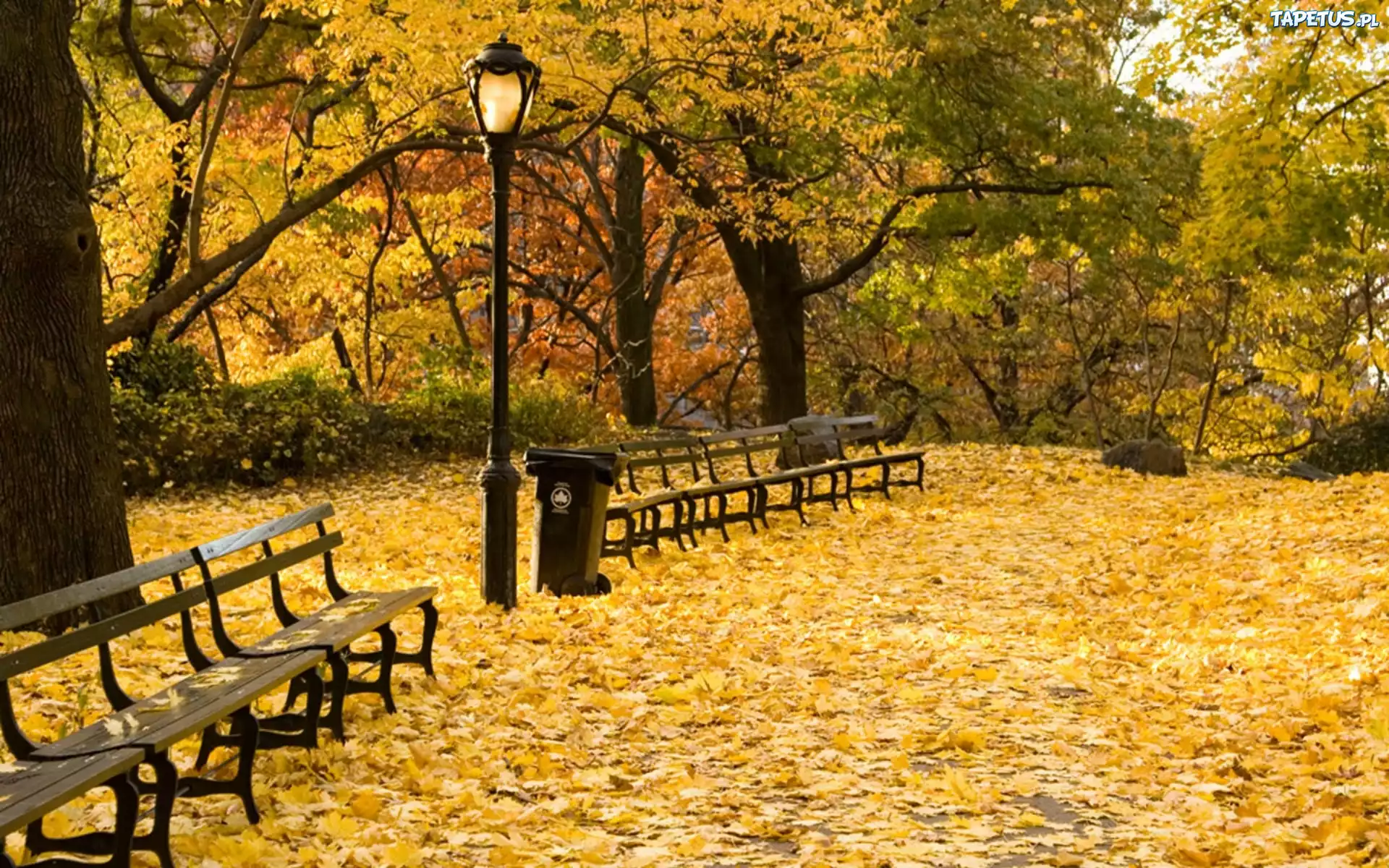 Park, Ławki, Liście, Jesień