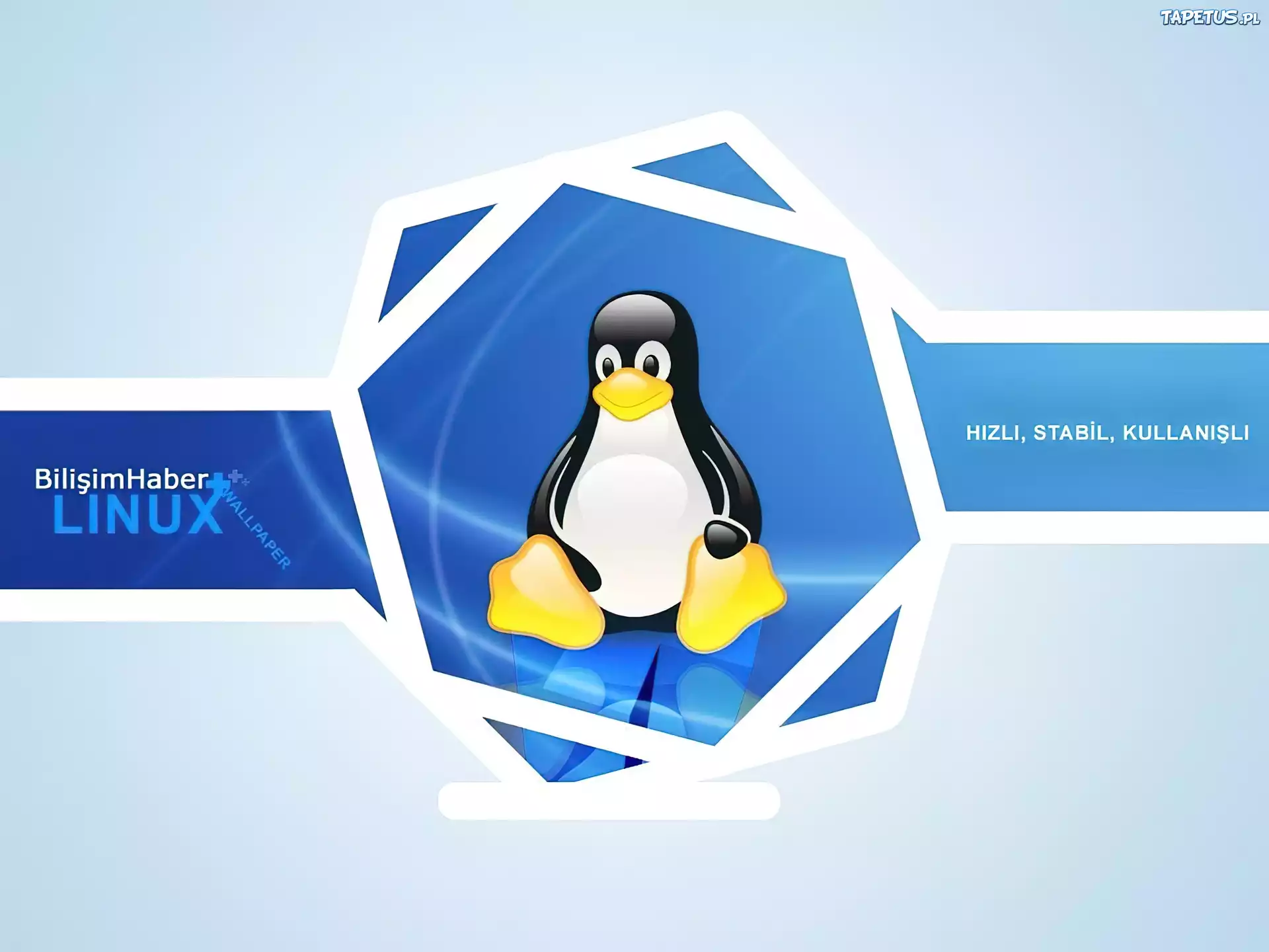 Linux, pingwin, grafika