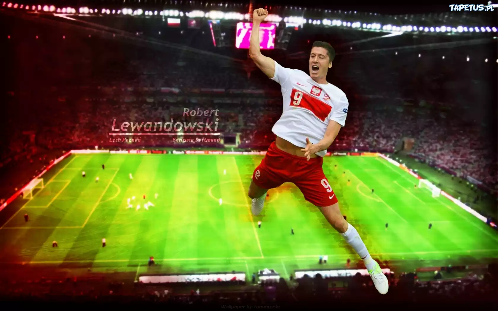Robert Lewandowski, Boisko, Stadion