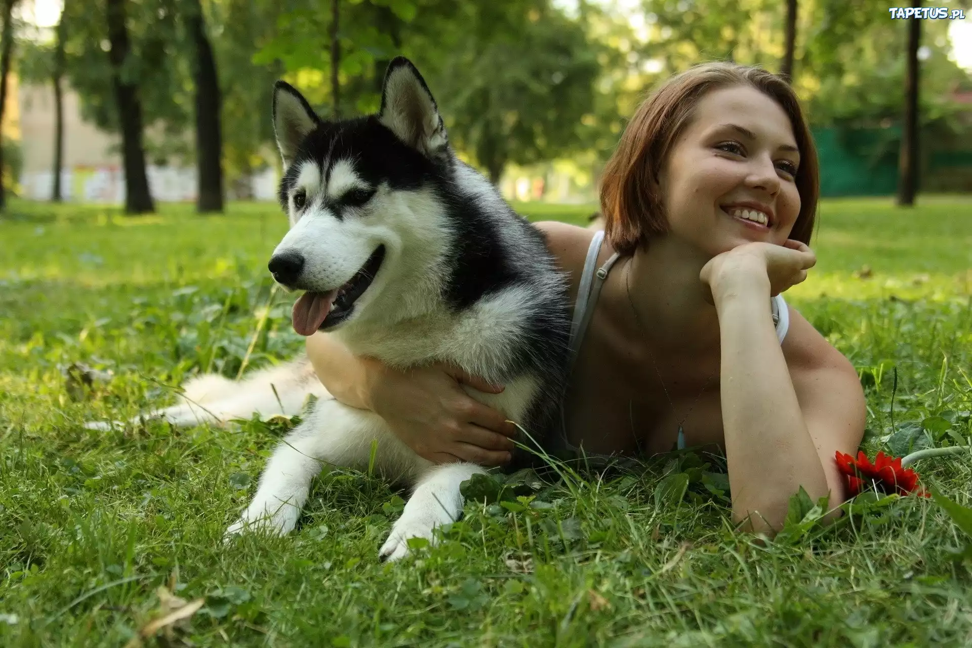 Картинка девушки с собакой. Девушка с собакой. Девушка с собакой фотосессия. Девушка и хаски. Красивая девушка с собачкой.
