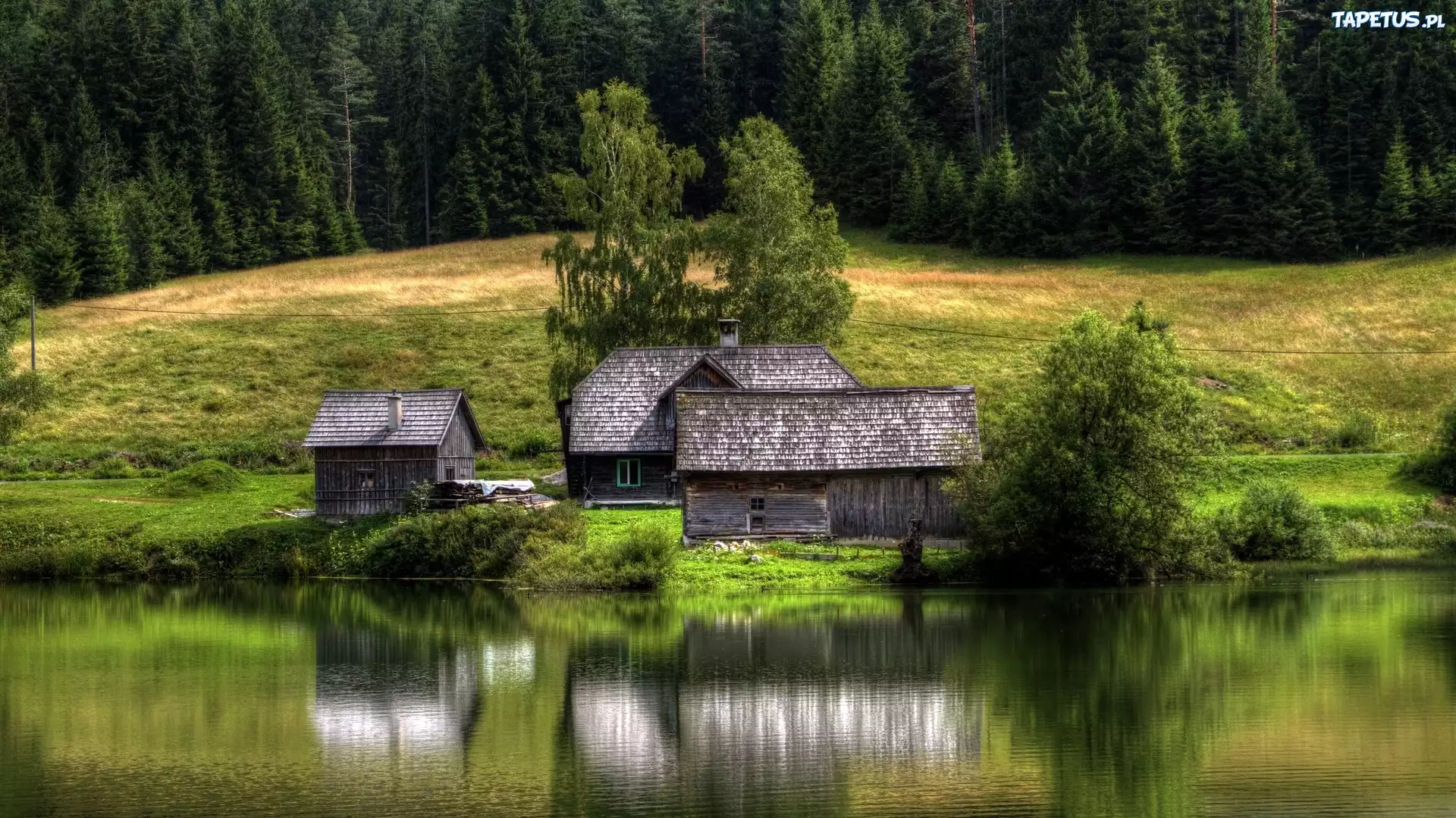 Las, Domki, Nad, Jeziorem