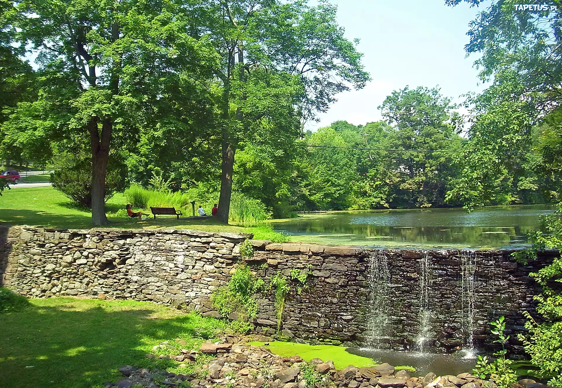 Park, Staw, Ławeczki
