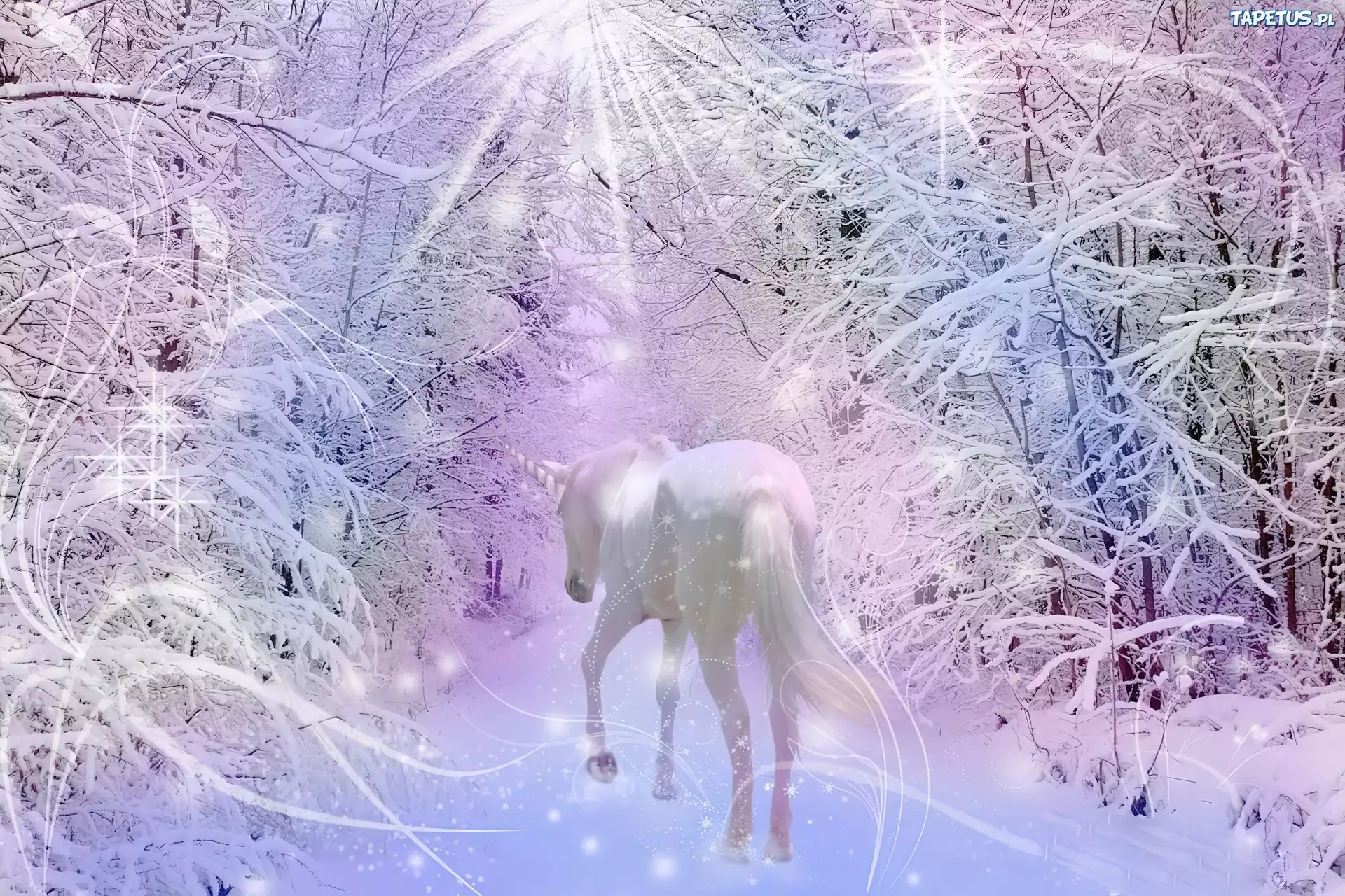 Fantasy, Las, Jednorożec