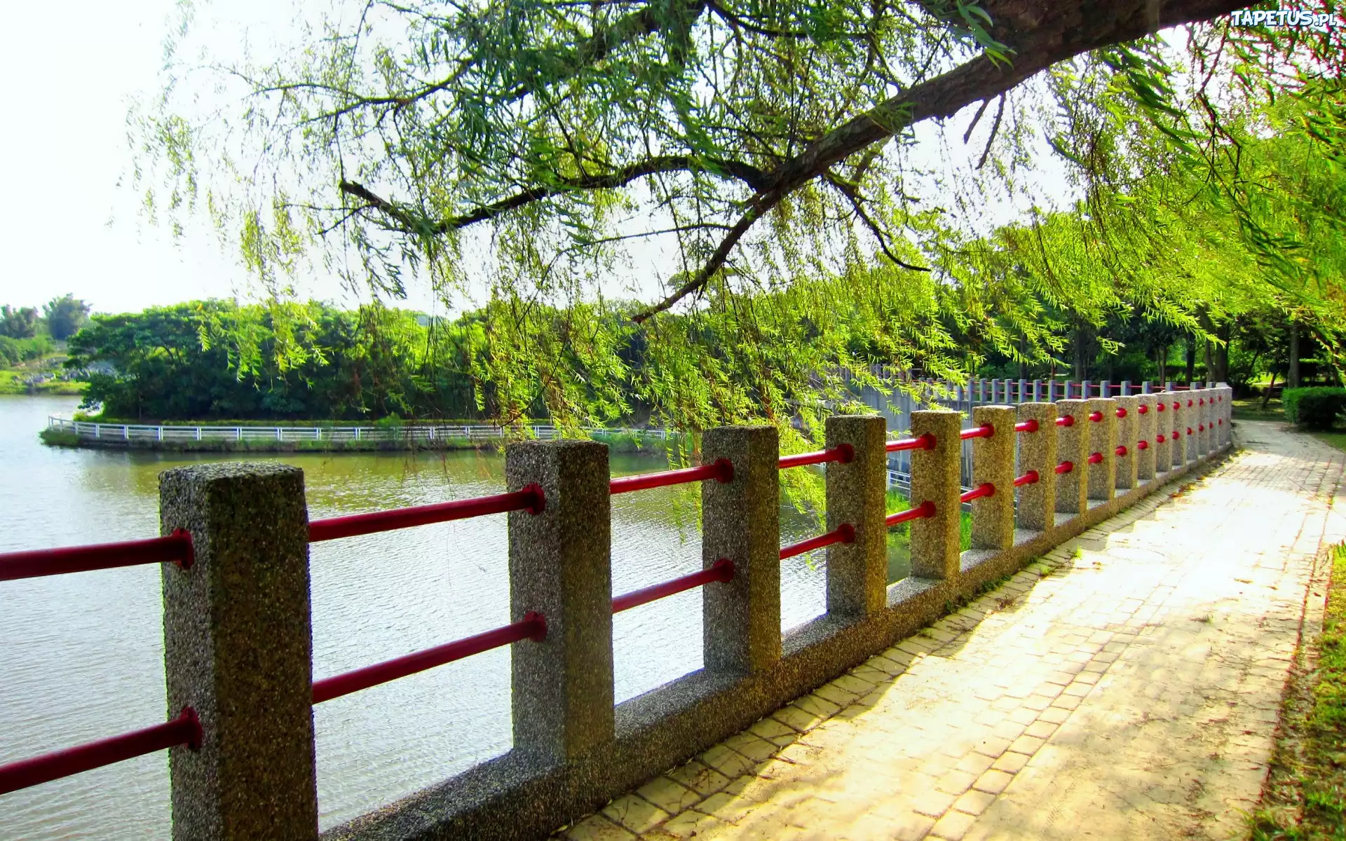 Jezioro, Bulwar, Drzewa