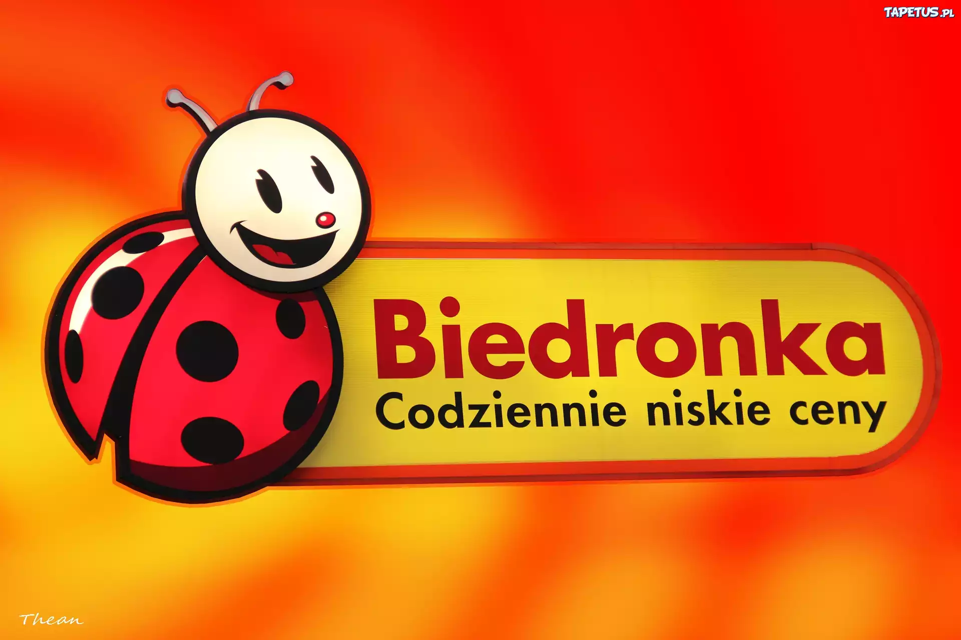 Reklama, Dyskont Biedronka