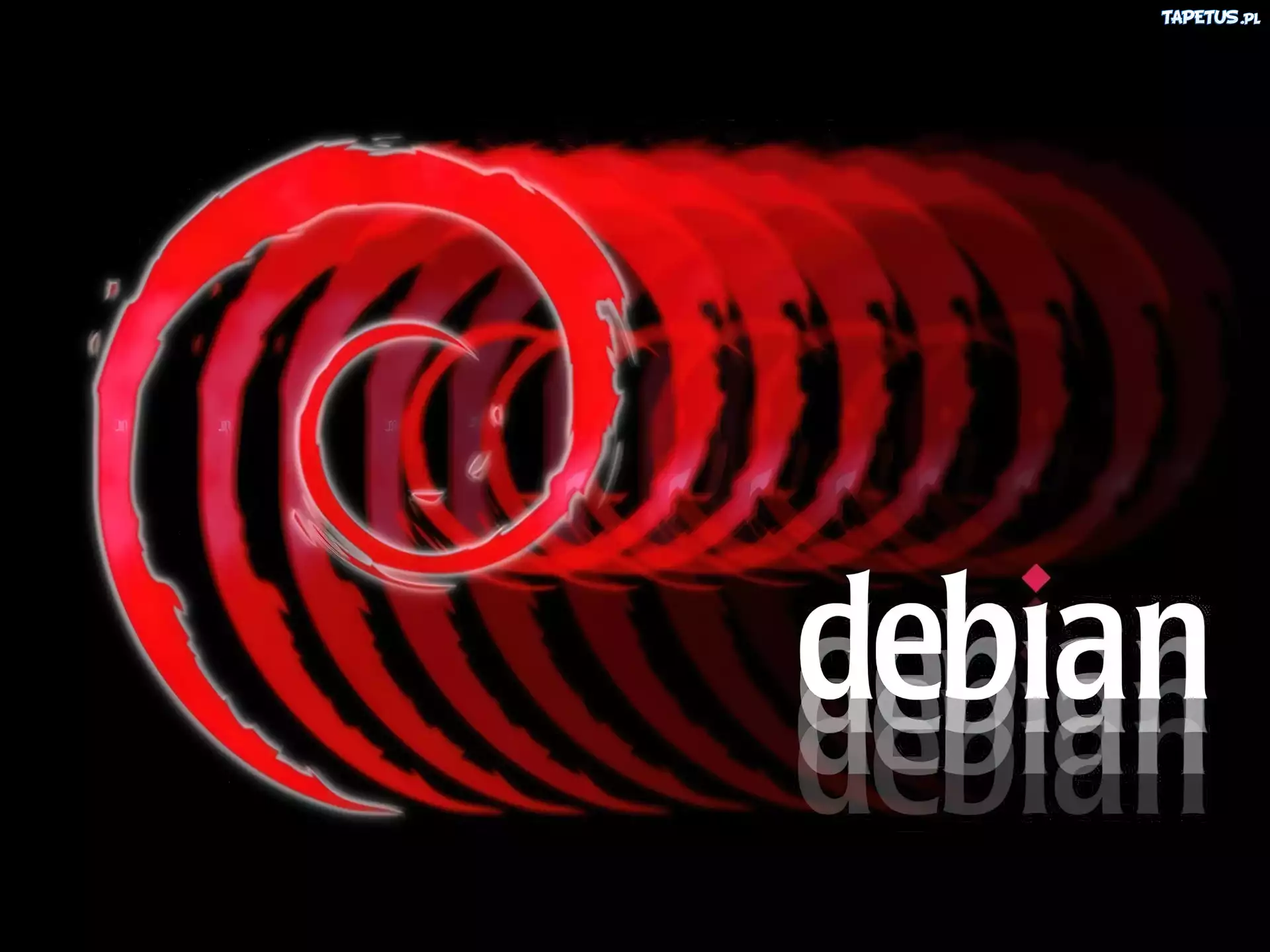 Linux Debian, grafika, muszla, zawijas, ślimak