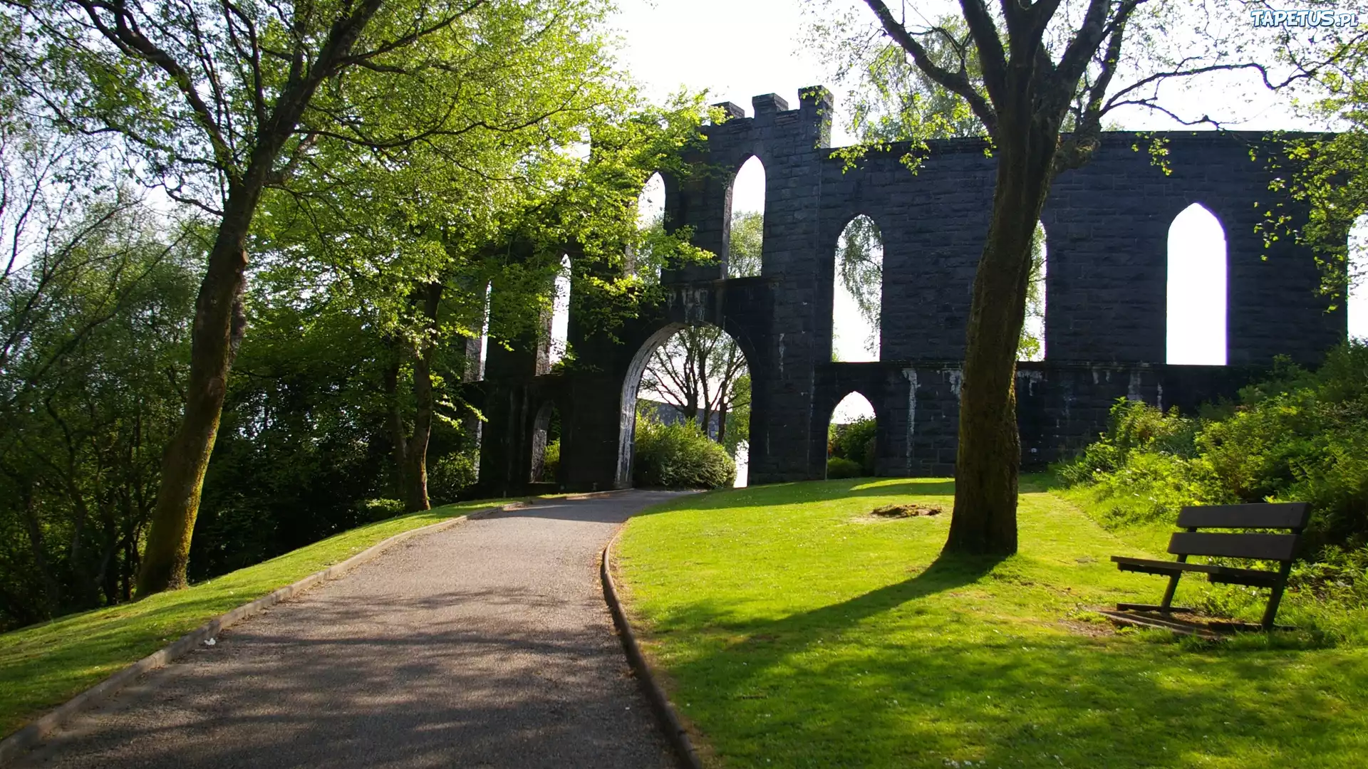 Park, Drzewa, Ruiny, Zamku