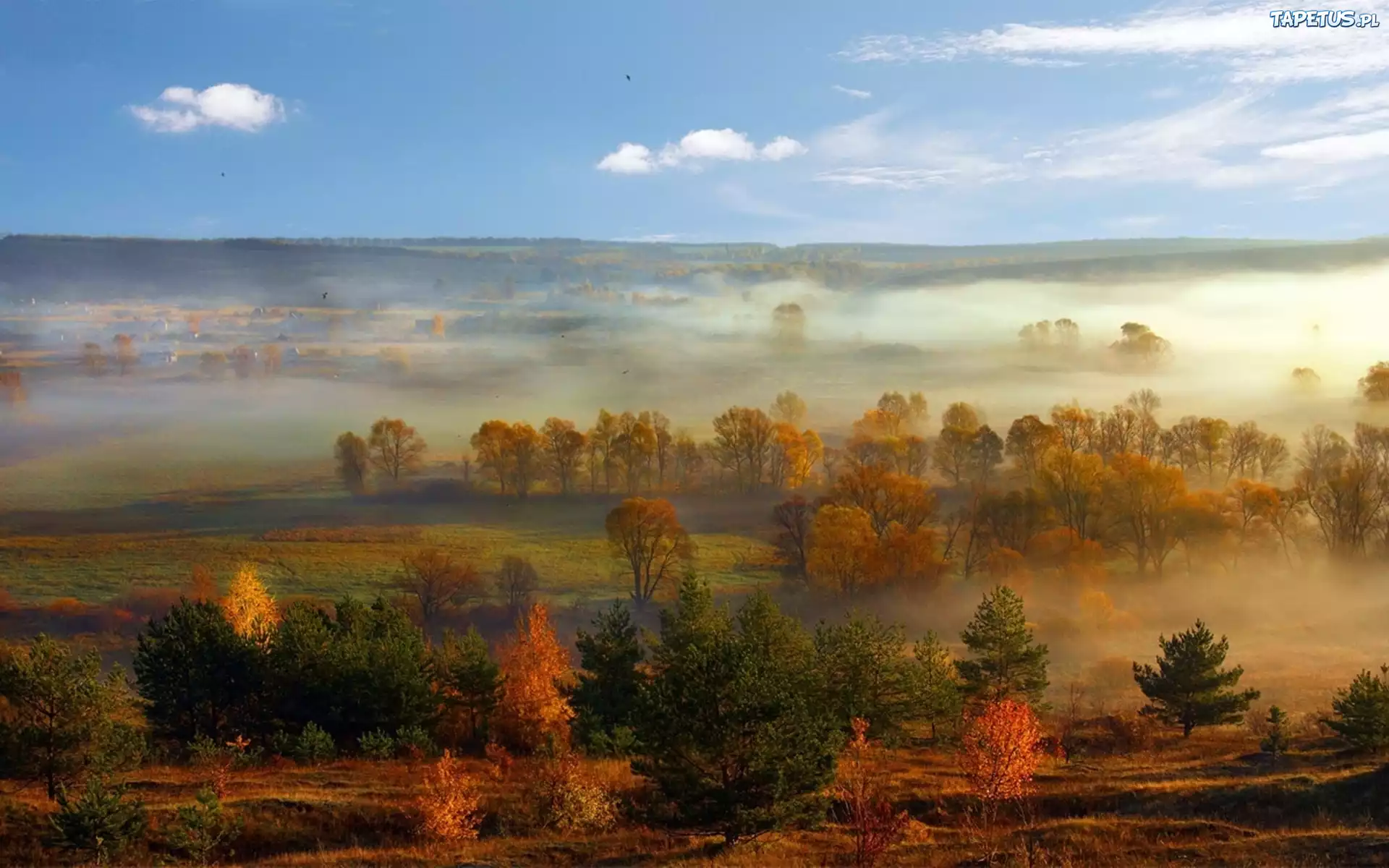 Pola, Drzewa, Mgła, Panorama, Jesień