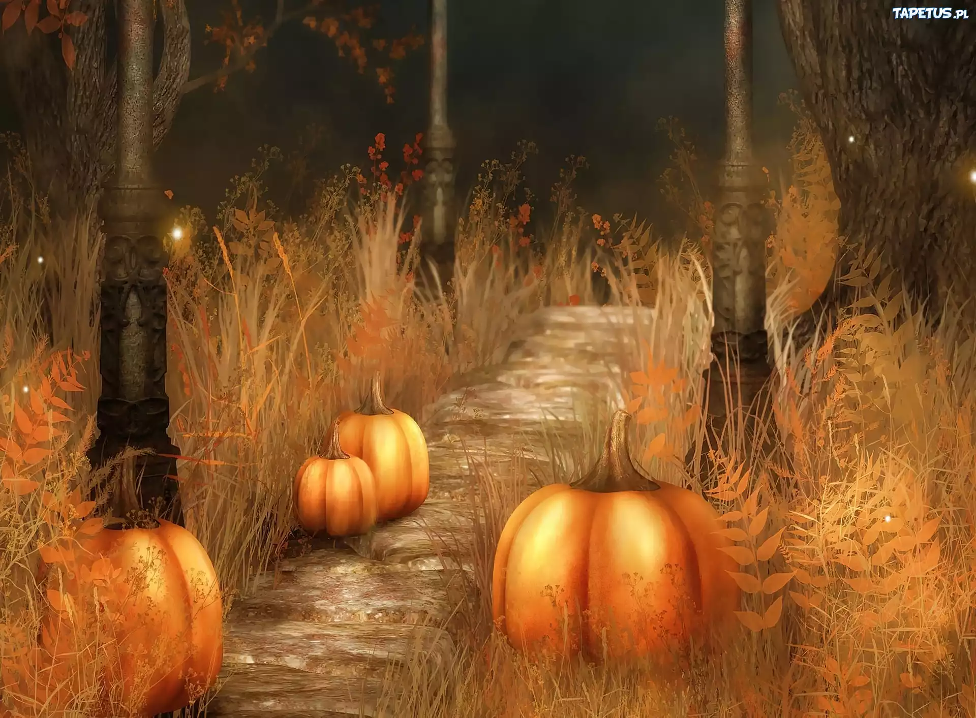 Halloween, Dynie, Droga, Grafika