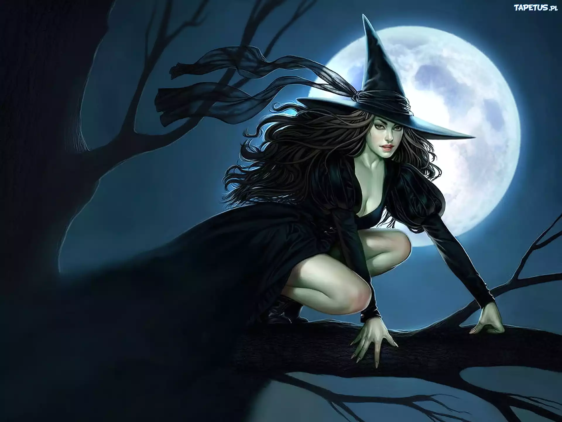 Halloween, Kobieta, Czarownica, Pełnia, Księżyca