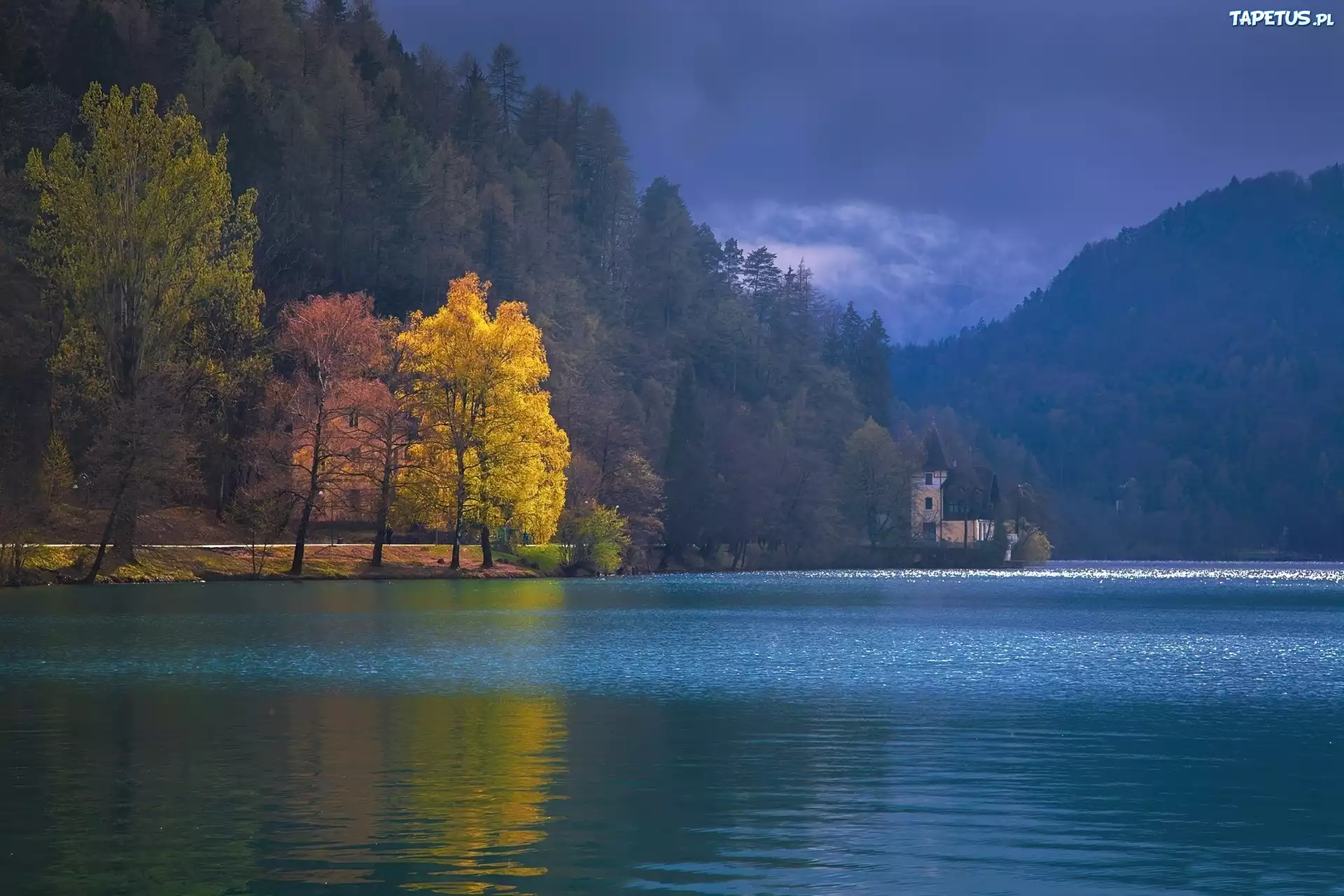 Jezioro, Jesienne, Drzewa