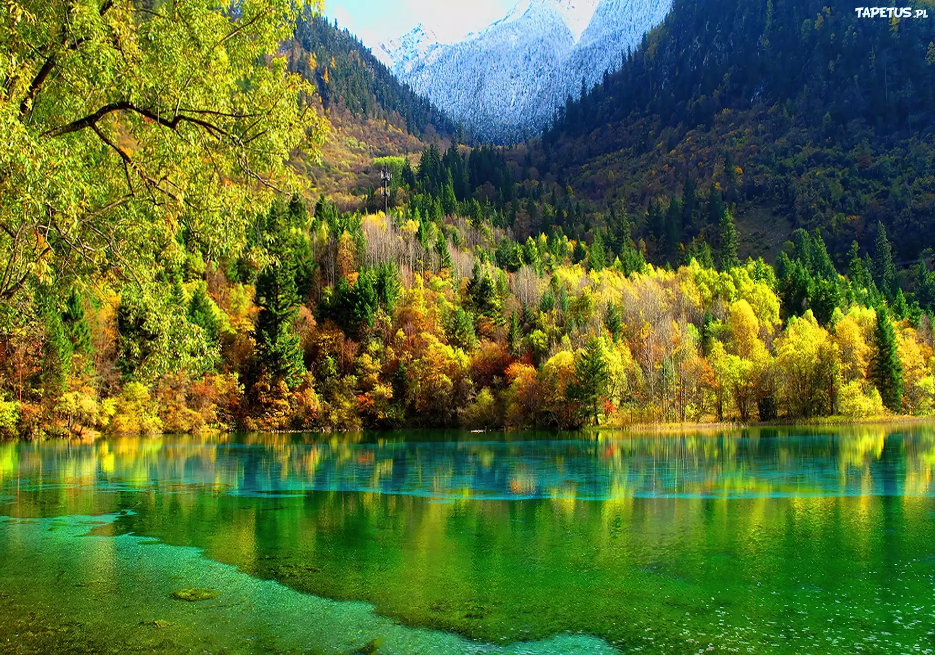 Góry, Drzewa, Jezioro