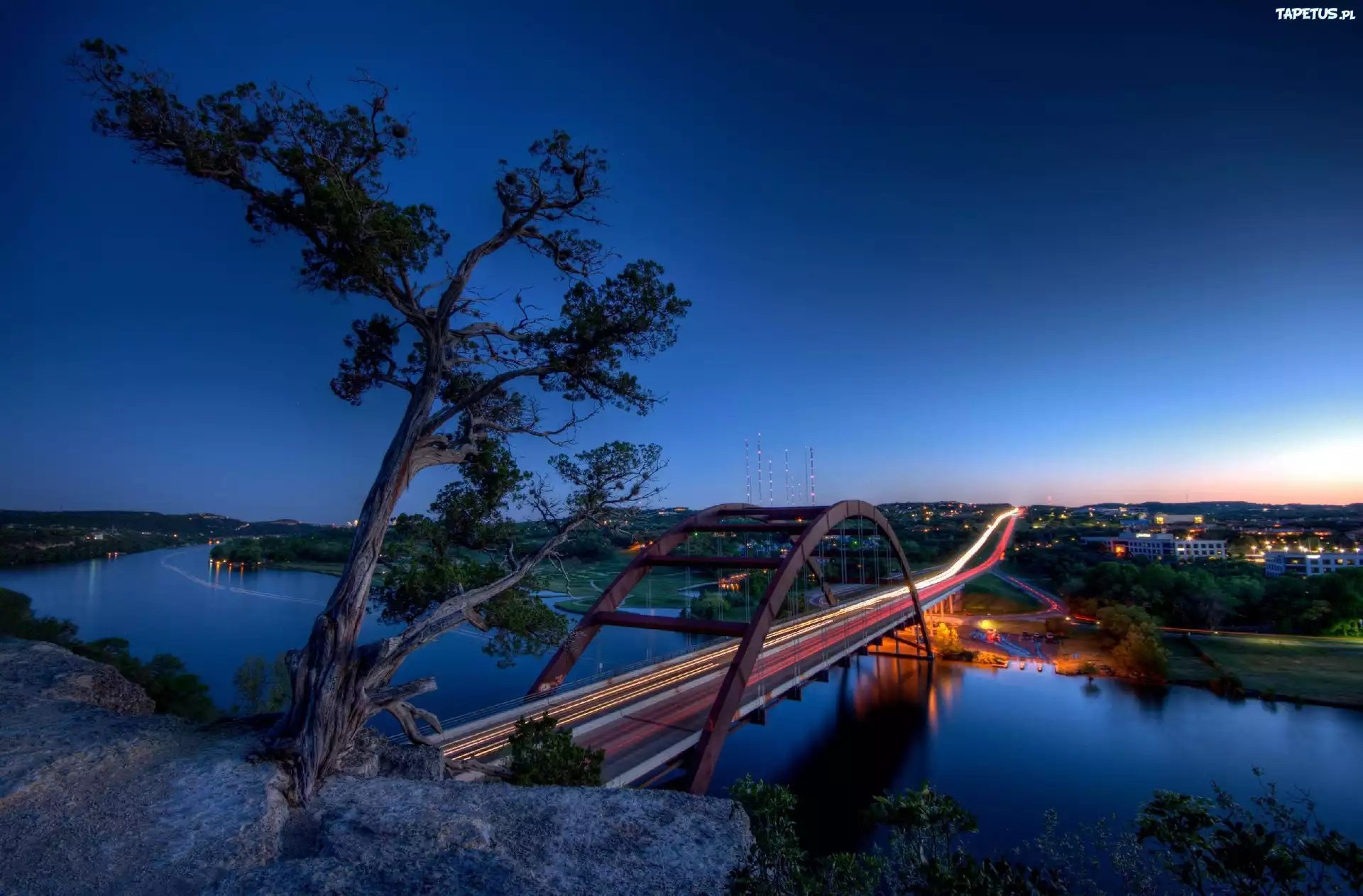 Drzewo, Most, Rzeka, Noc