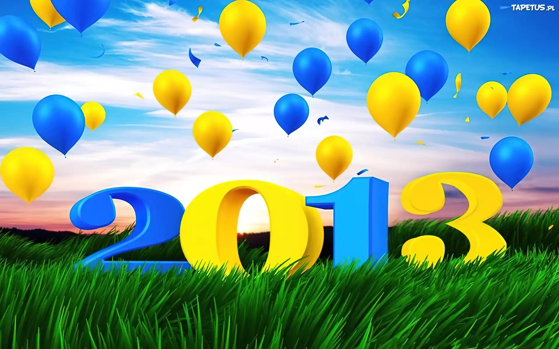 Balony, Trawa, Nowy Rok 2013