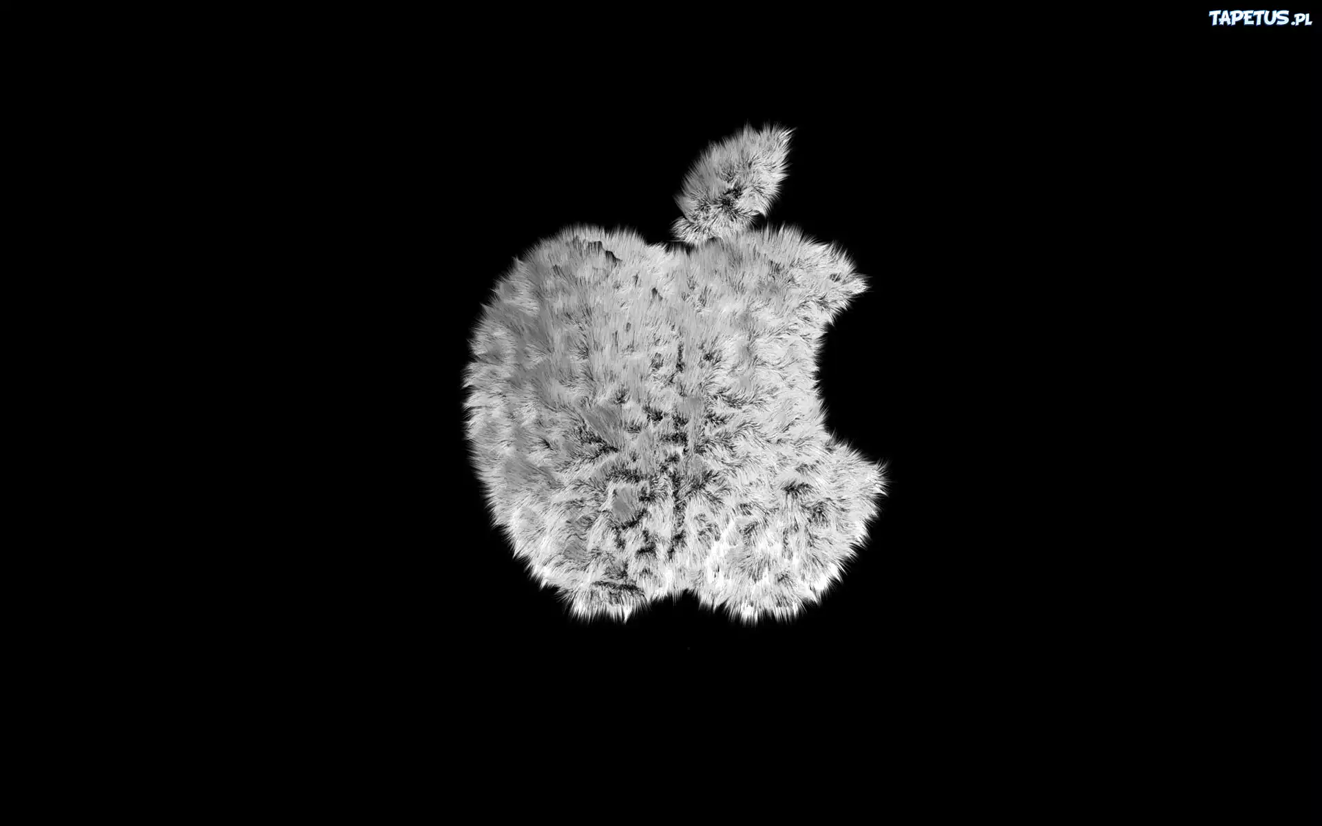 Apple, Logo
