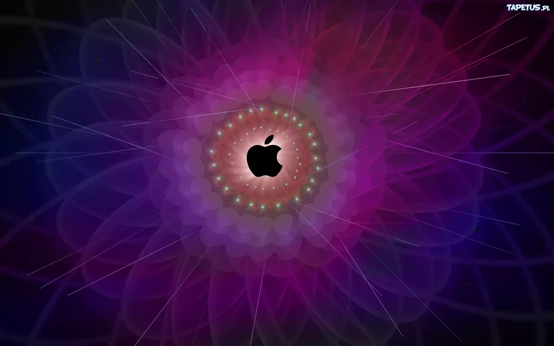 Apple, Logo, Fioletowe, Tło, Fraktal