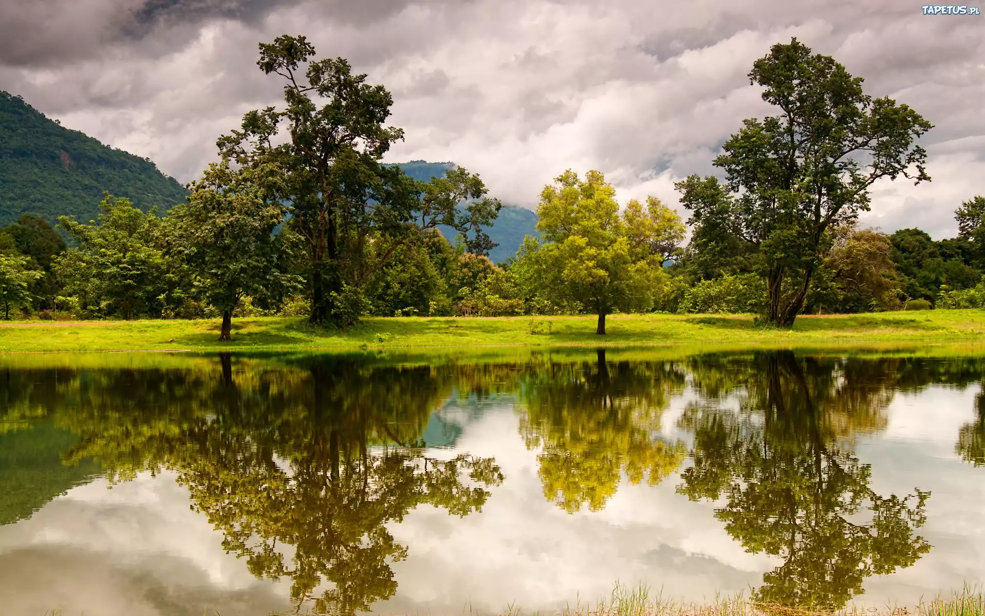 природа река деревья облака nature river trees clouds бесплатно