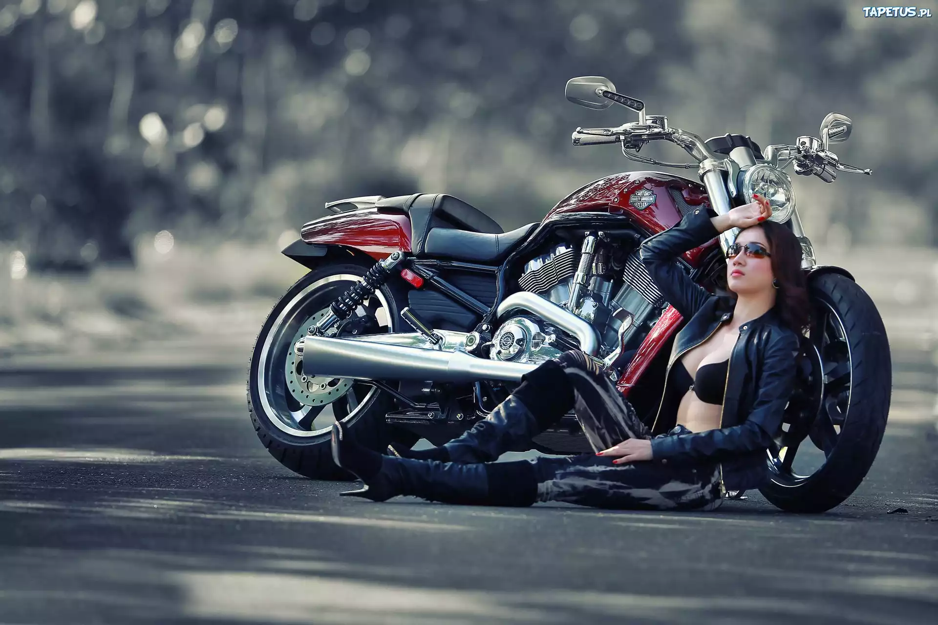 Harley, Davidson, Piękna, Brunetka