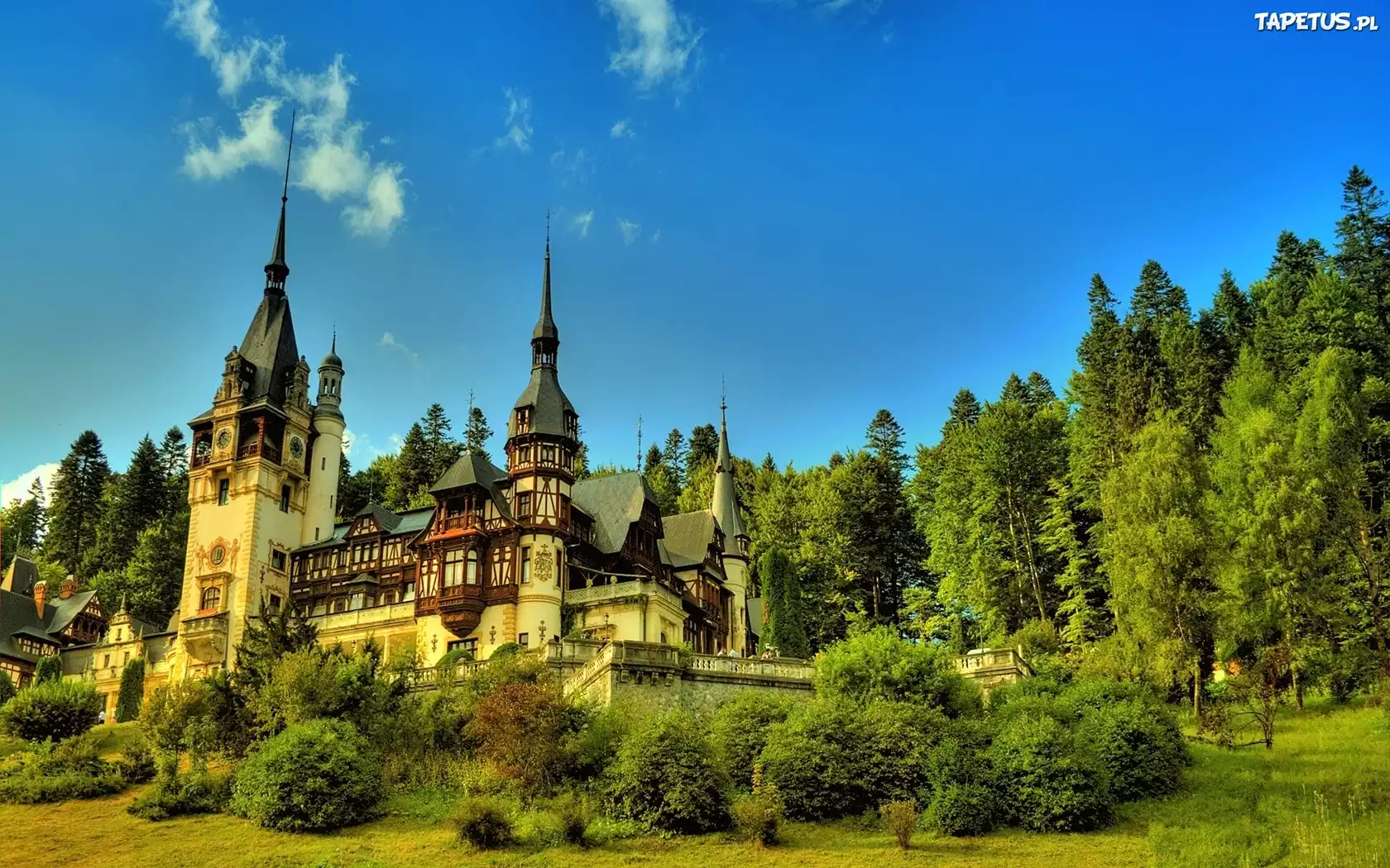 Zamek, Błękitne, Niebo, Zielone, Krzewy, Drzewa