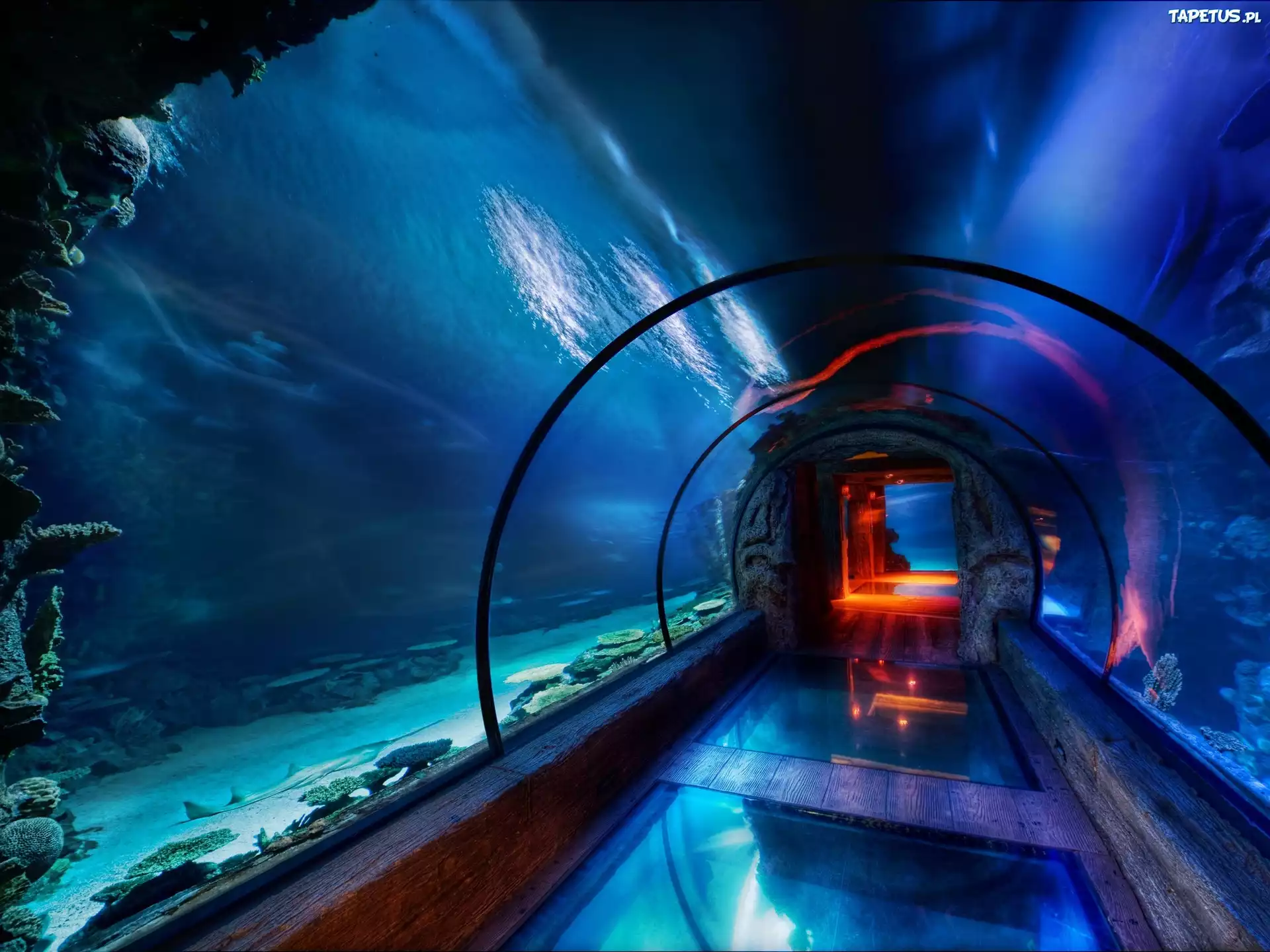 Podwodny, Tunel, Oceanarium