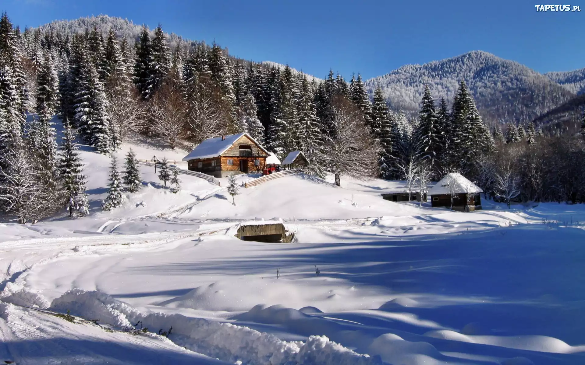 My country beautiful. Зима в Румынии. Природа Румыния снег. Горы Румыния зима. Марамуреш зима.