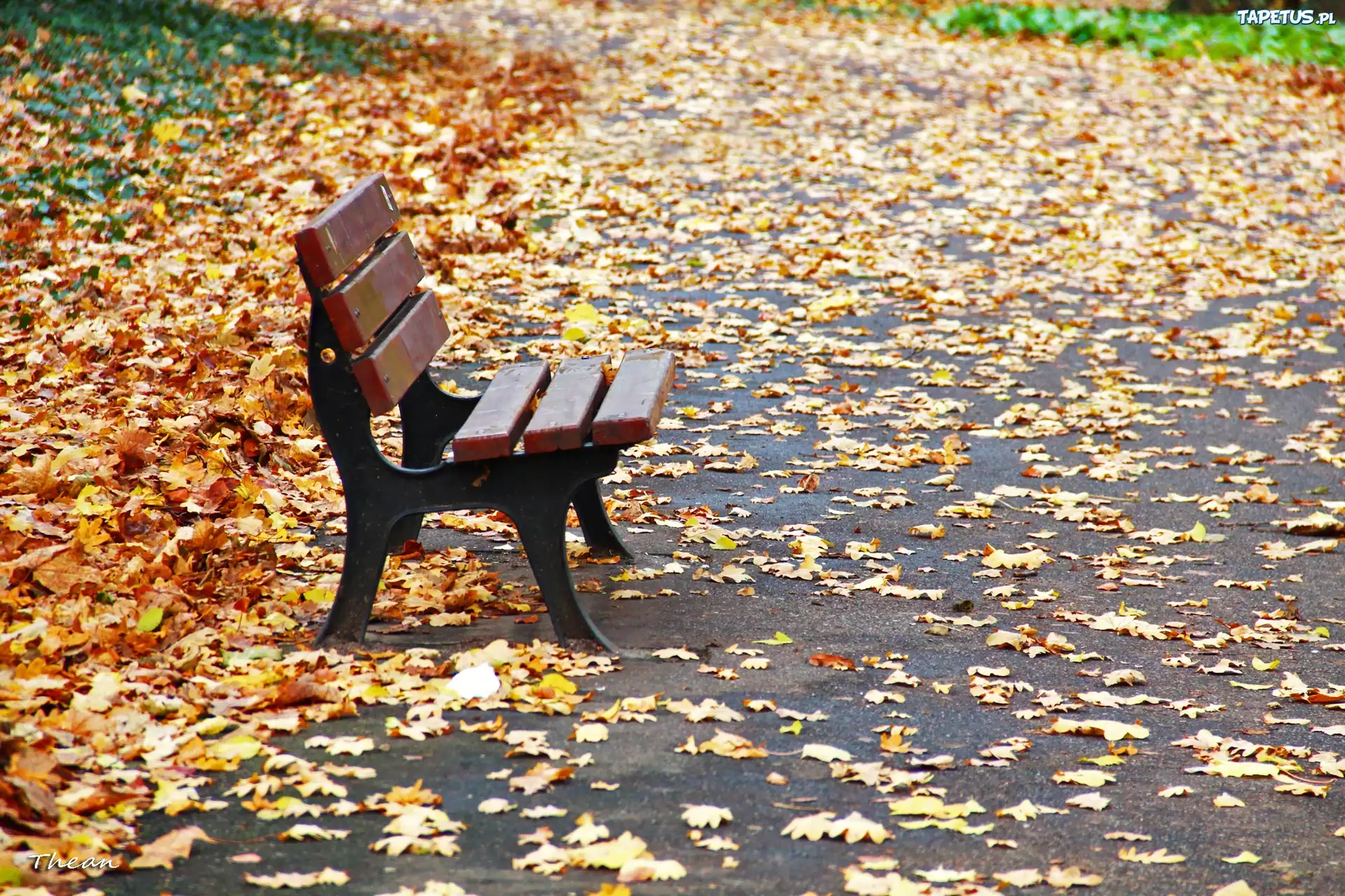 Ławka, Park, Liście, Jesień