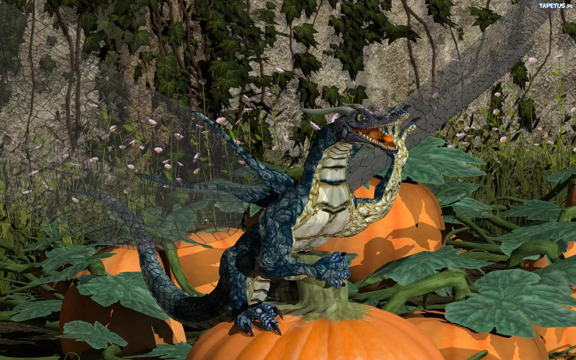 Dynie, Halloween, Smok