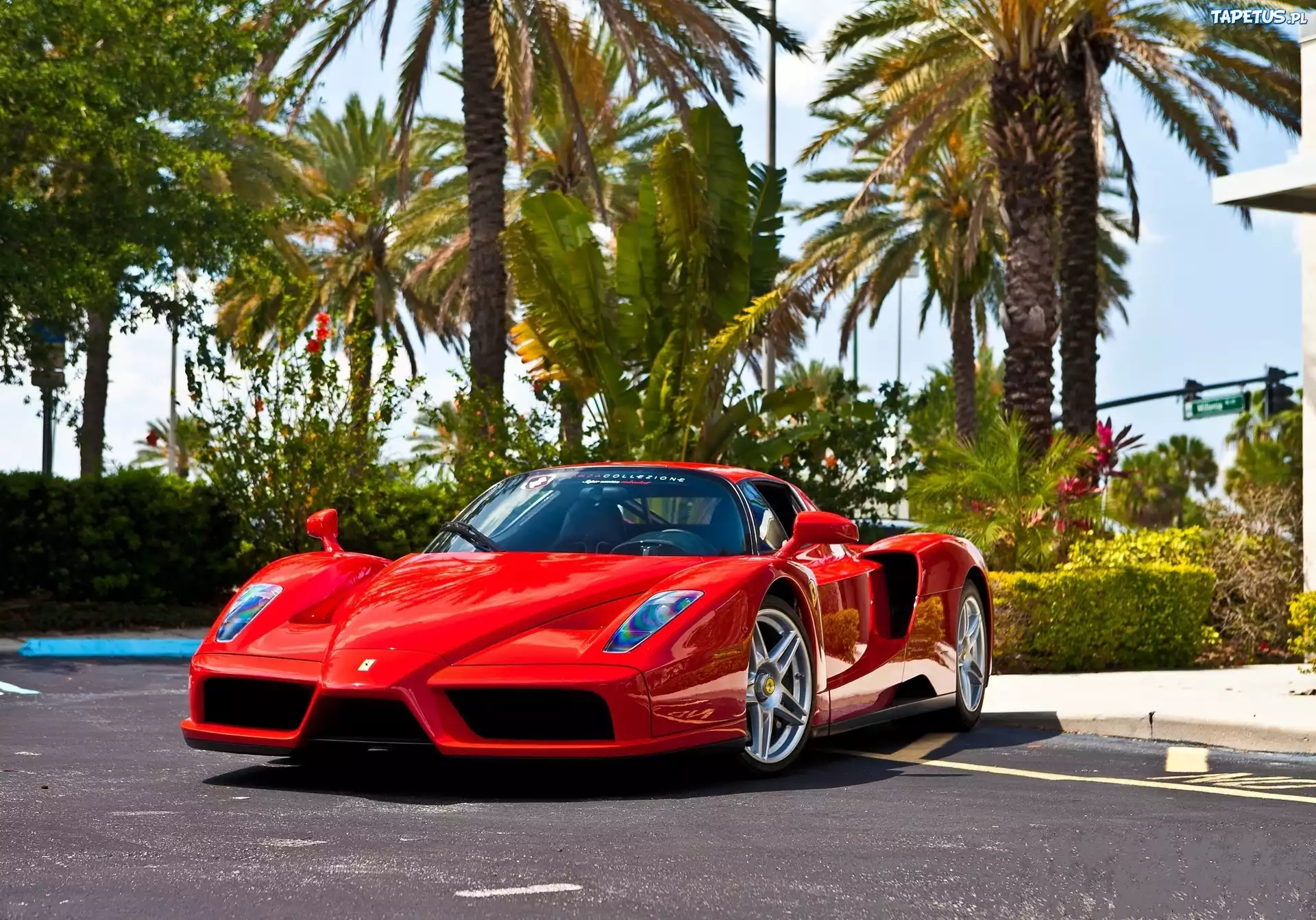 Czerwone Ferrari Enzo Palmy