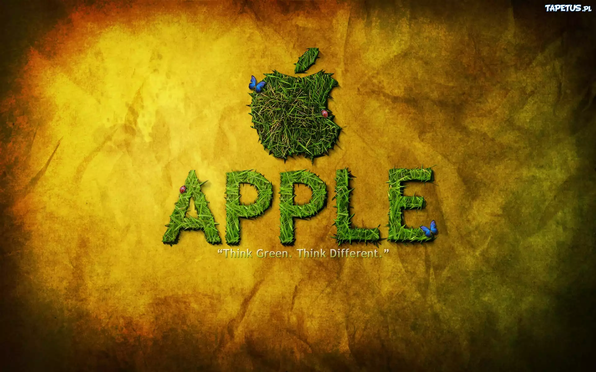 Apple, Logo, Napis, Trawa